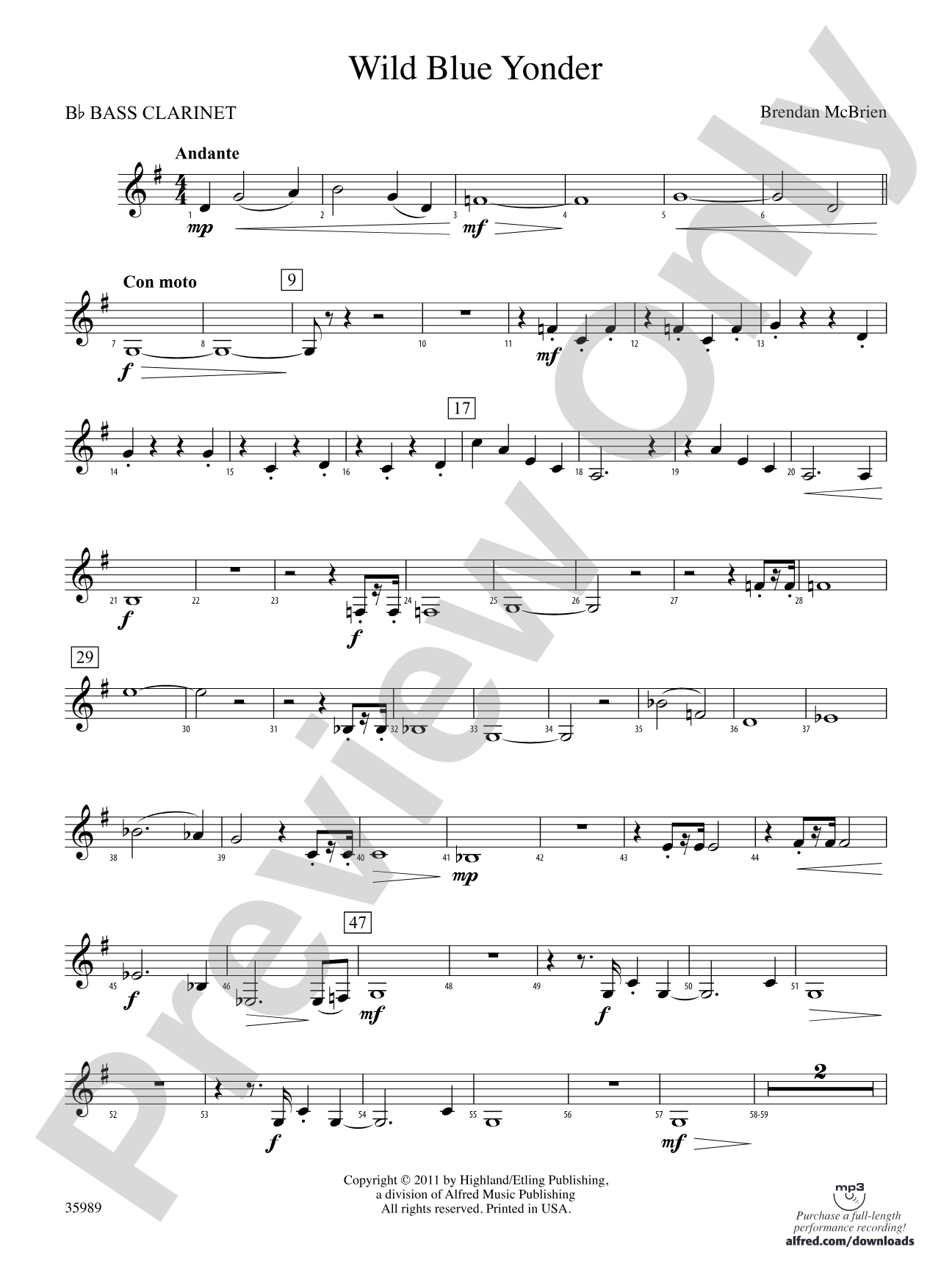 Wild Blue Yonder: B-flat Bass Clarinet