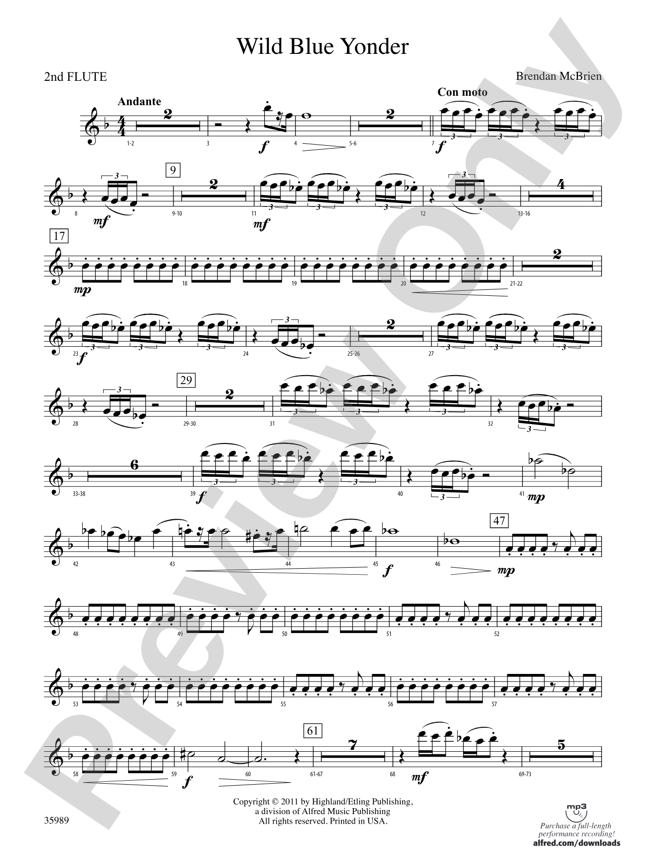 Wild Blue Yonder: 2nd Flute