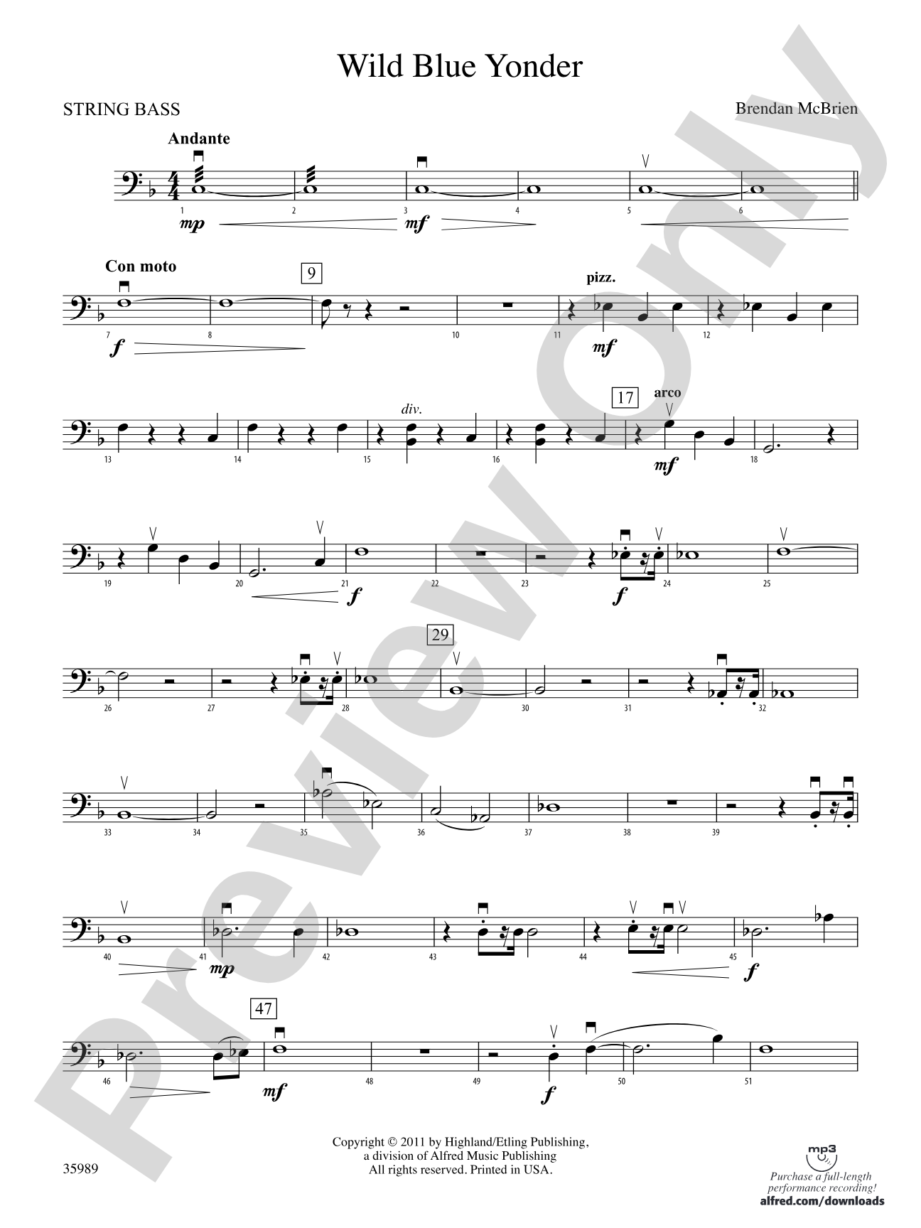 Wild Blue Yonder: String Bass