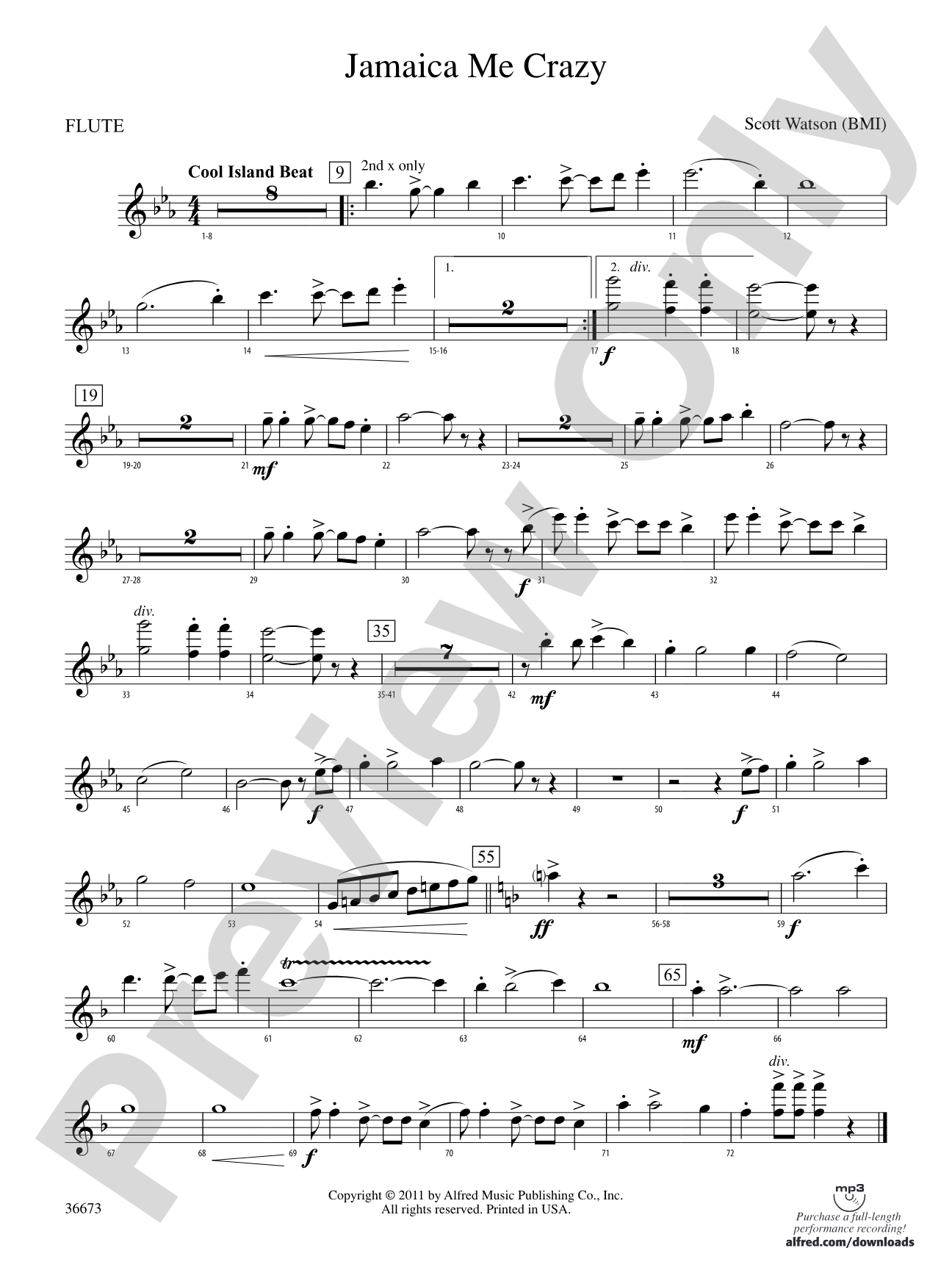 Jamaica Me Crazy: Flute