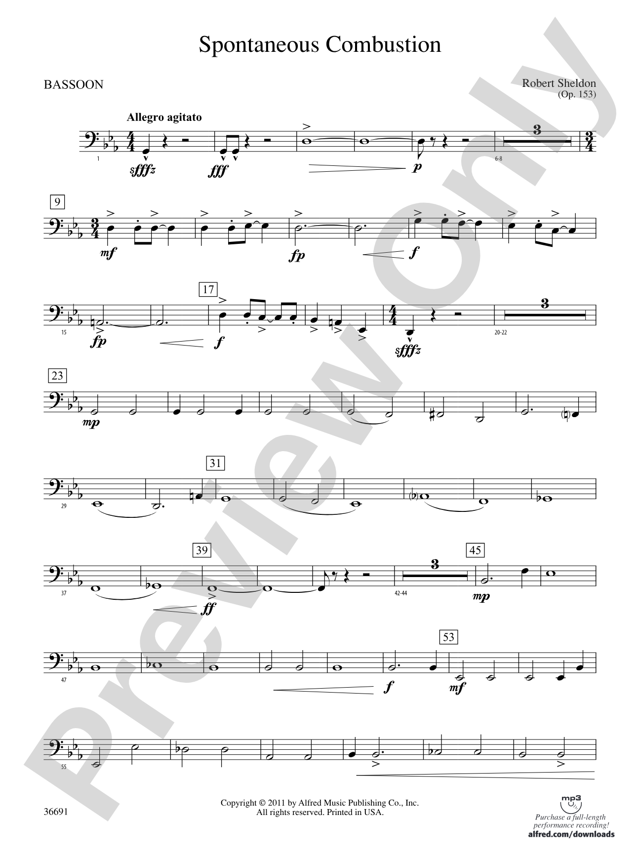 Spontaneous Combustion: Bassoon