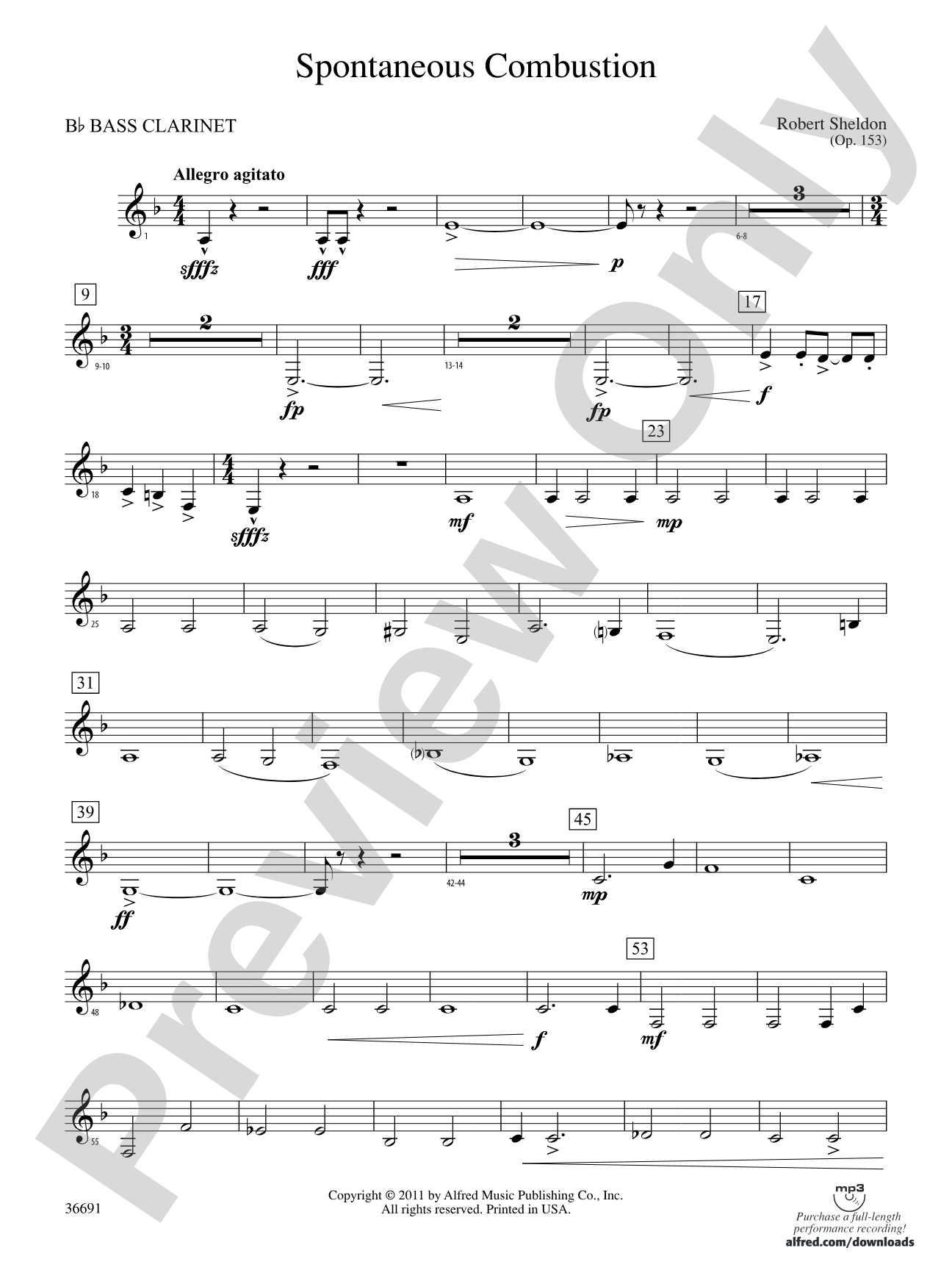 Spontaneous Combustion: B-flat Bass Clarinet