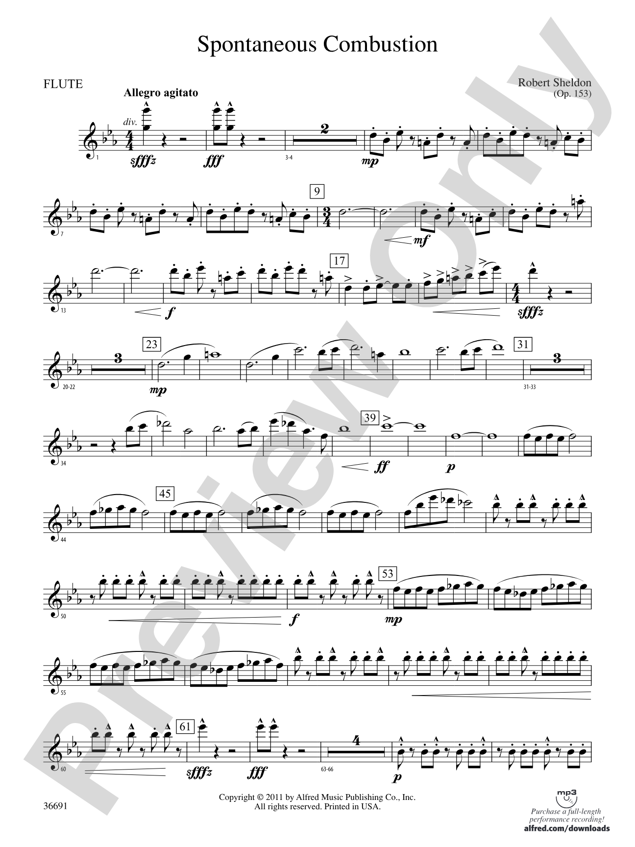 Spontaneous Combustion: Flute