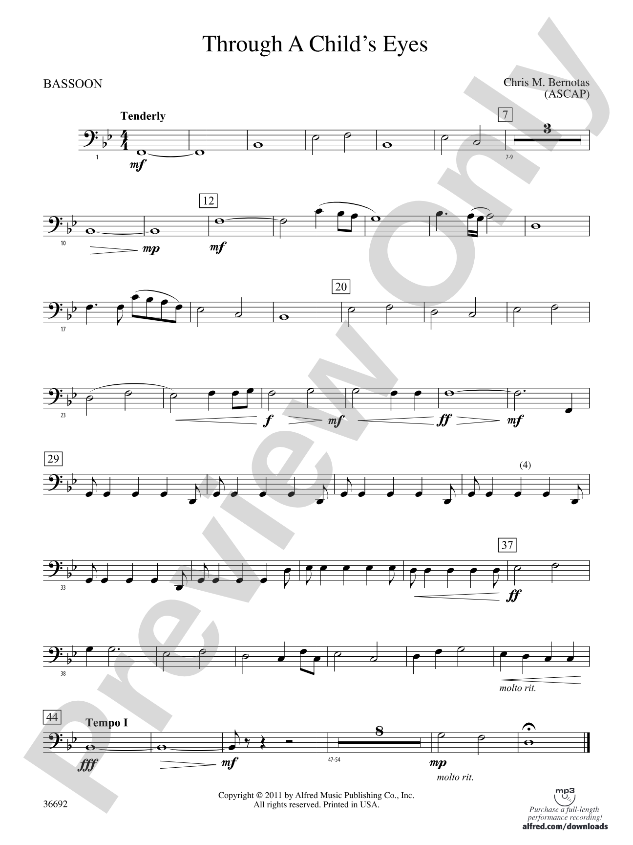 Through a Child's Eyes: Bassoon