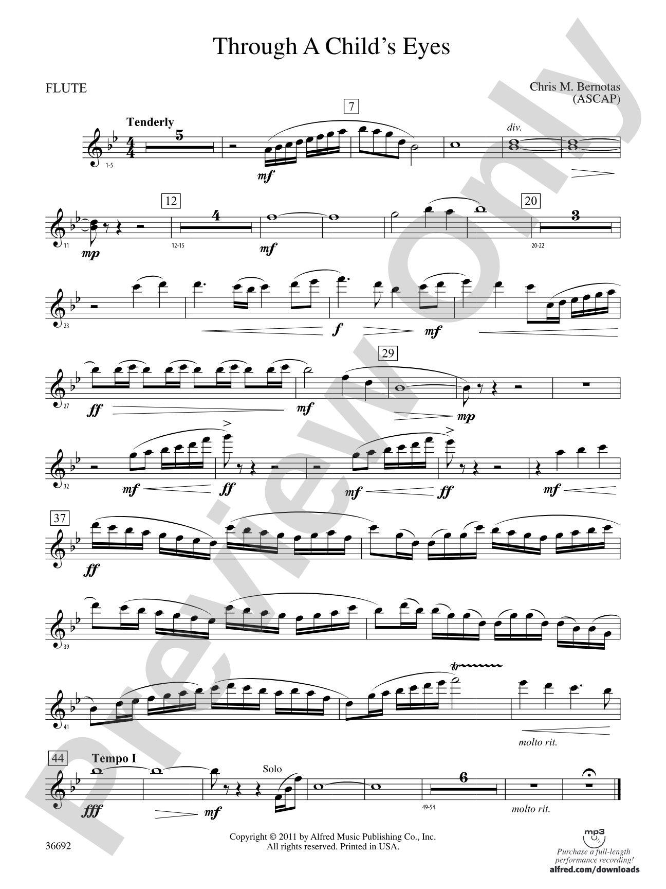 Through a Child's Eyes: Flute