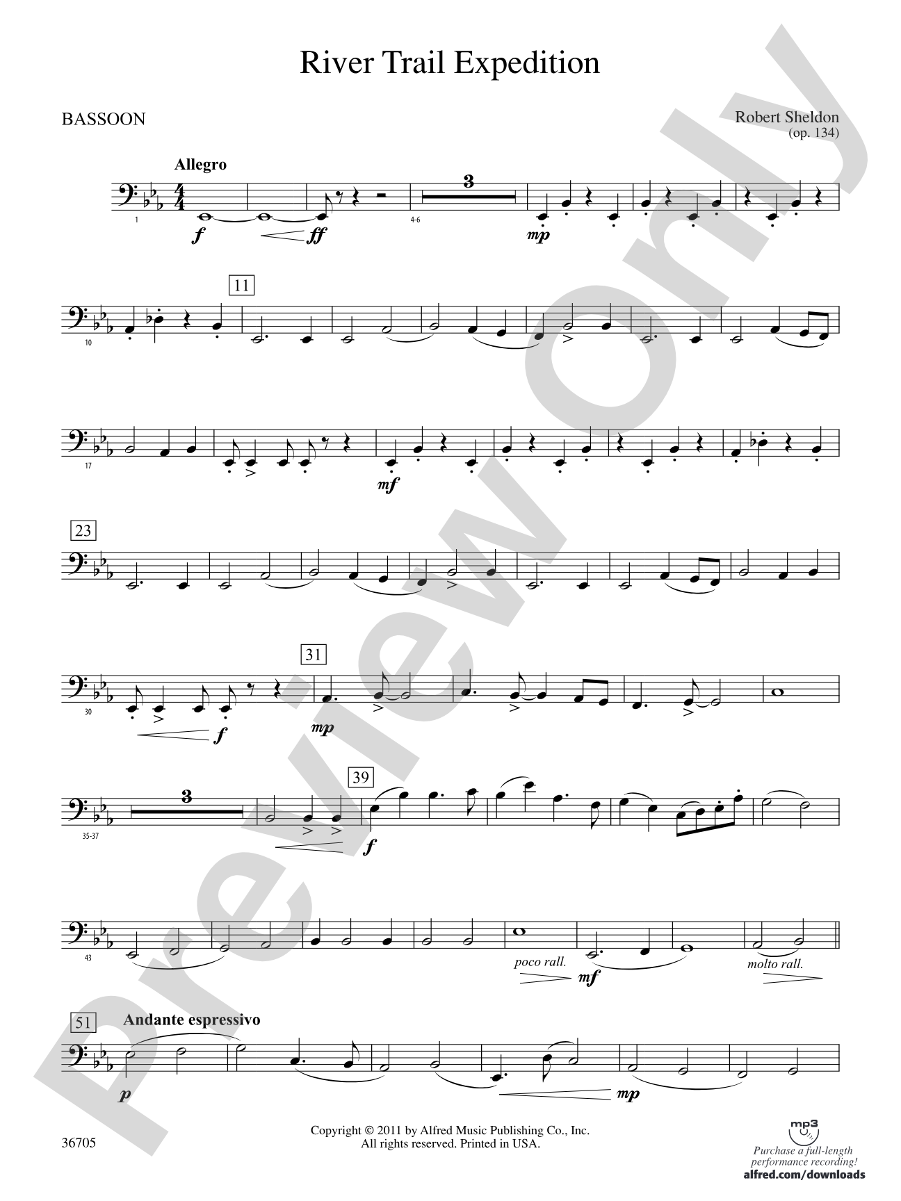 River Trail Expedition: Bassoon