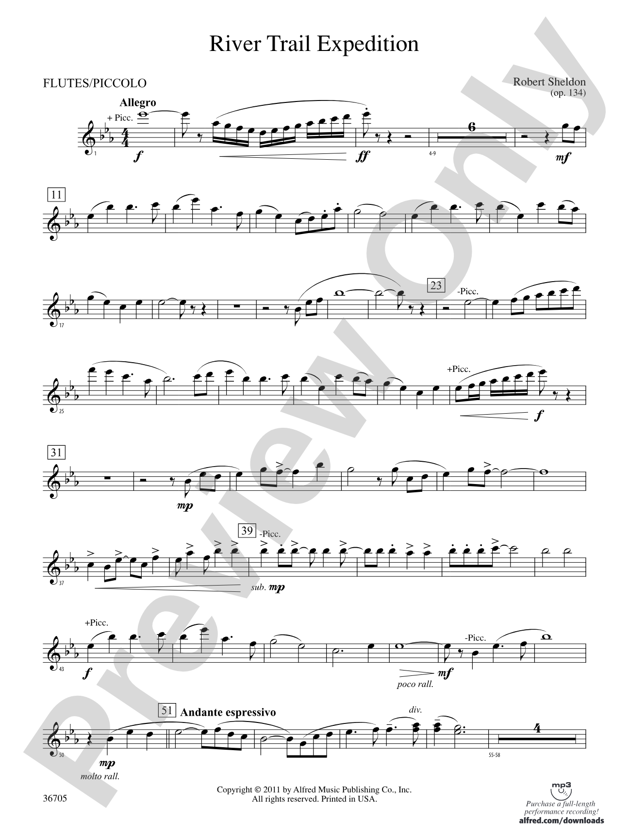 River Trail Expedition: Flute