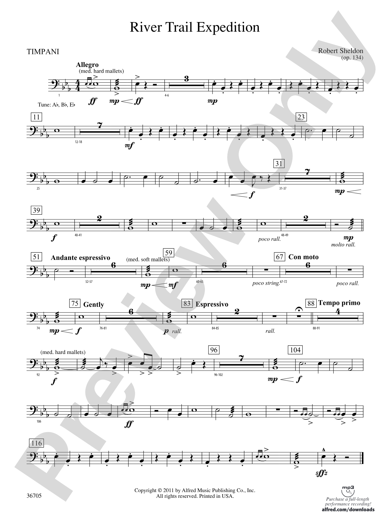 River Trail Expedition: Timpani