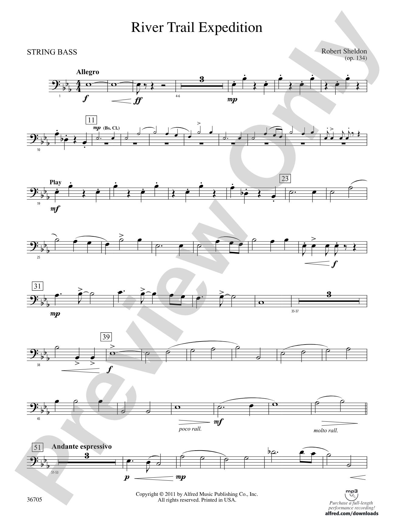 River Trail Expedition: (wp) String Bass