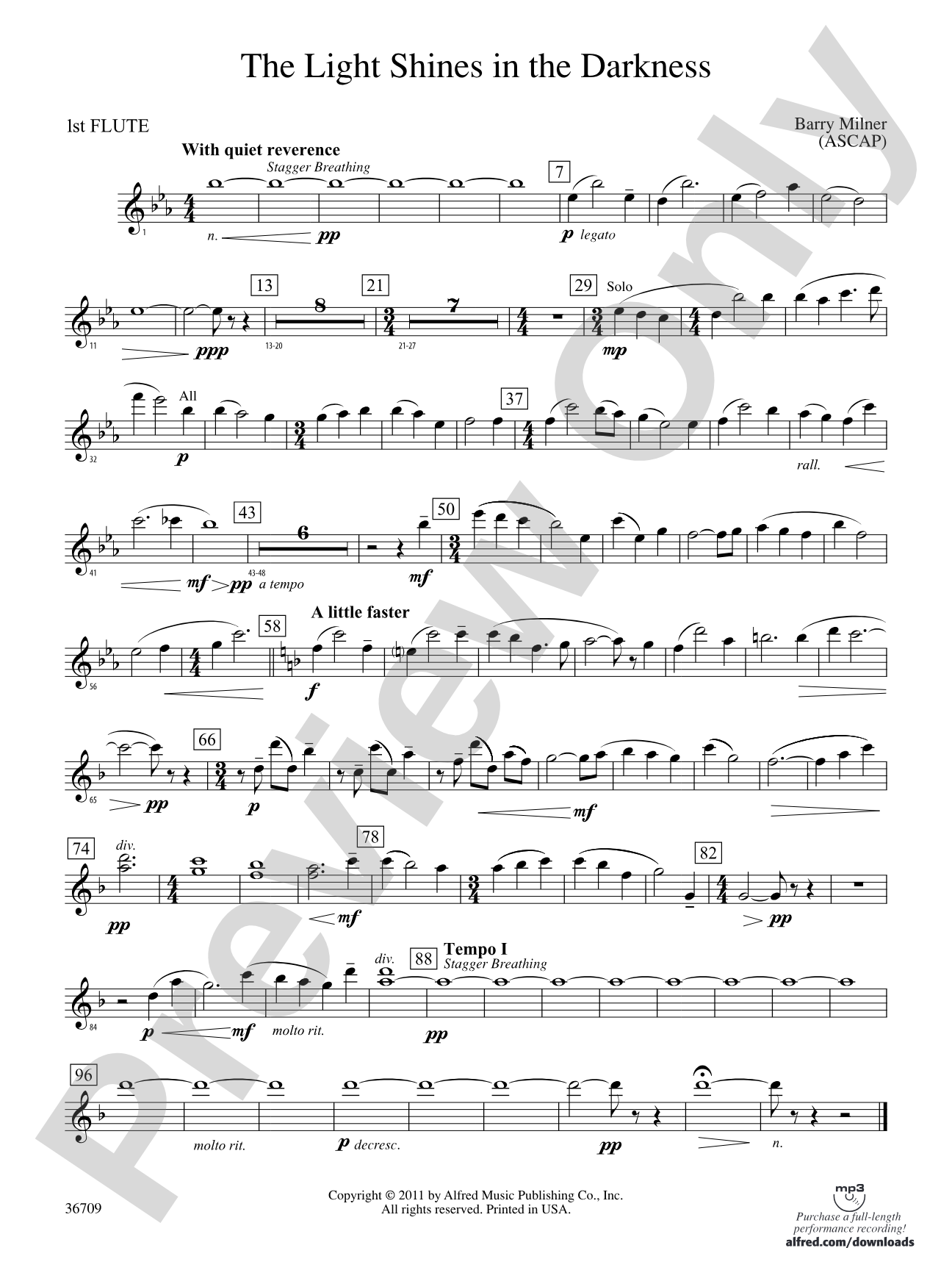 The Light Shines in the Darkness: Flute