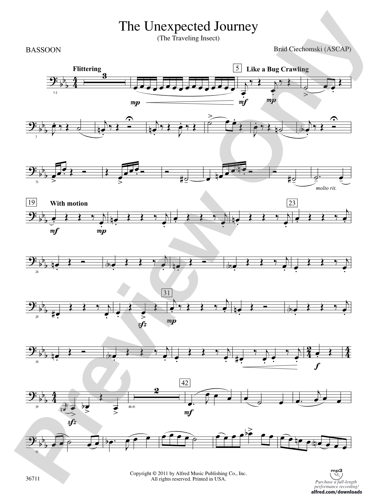 The Unexpected Journey: Bassoon