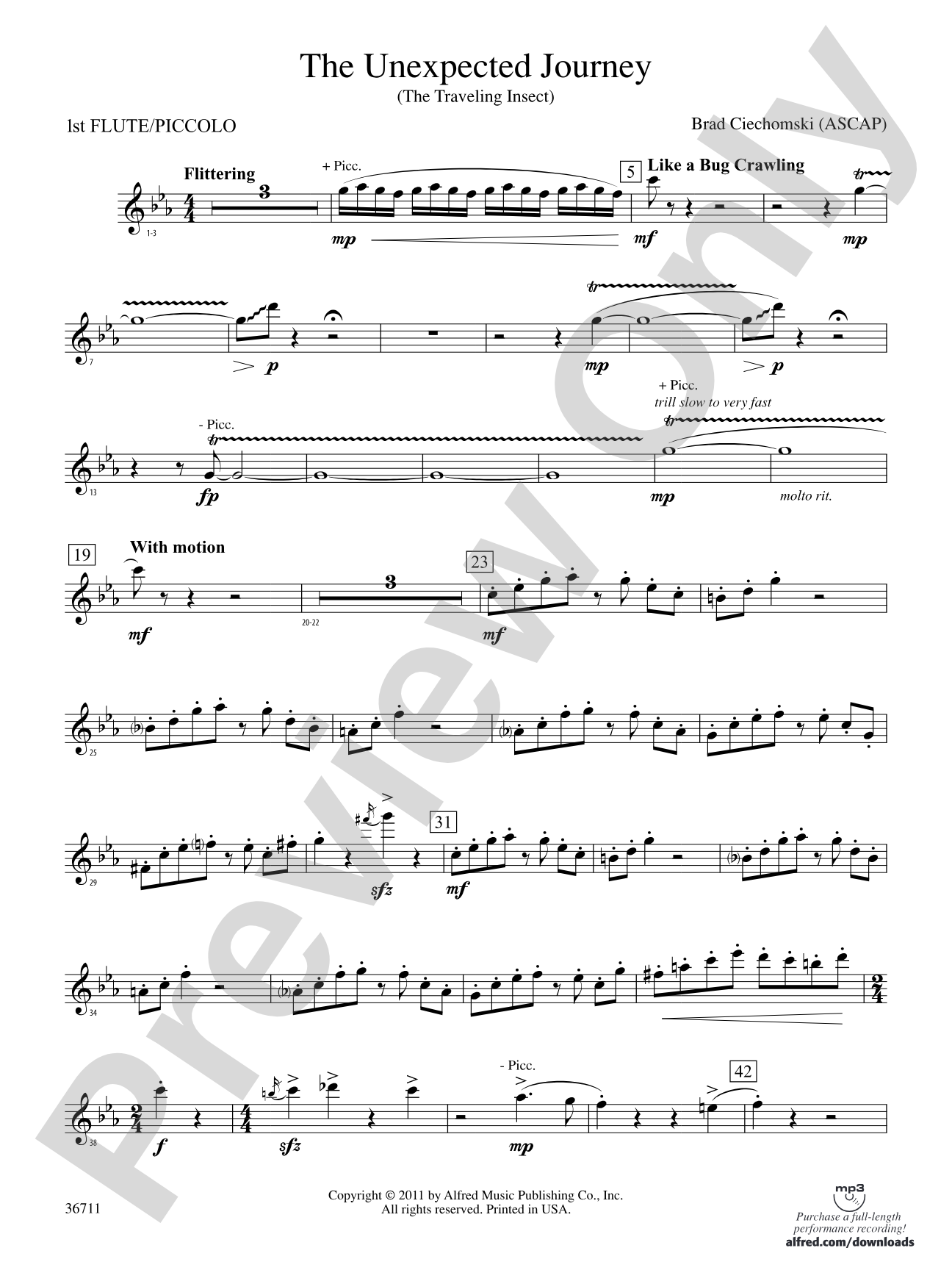 The Unexpected Journey: Flute