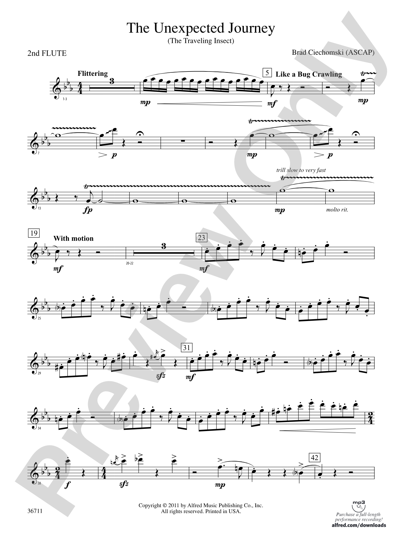 The Unexpected Journey: 2nd Flute