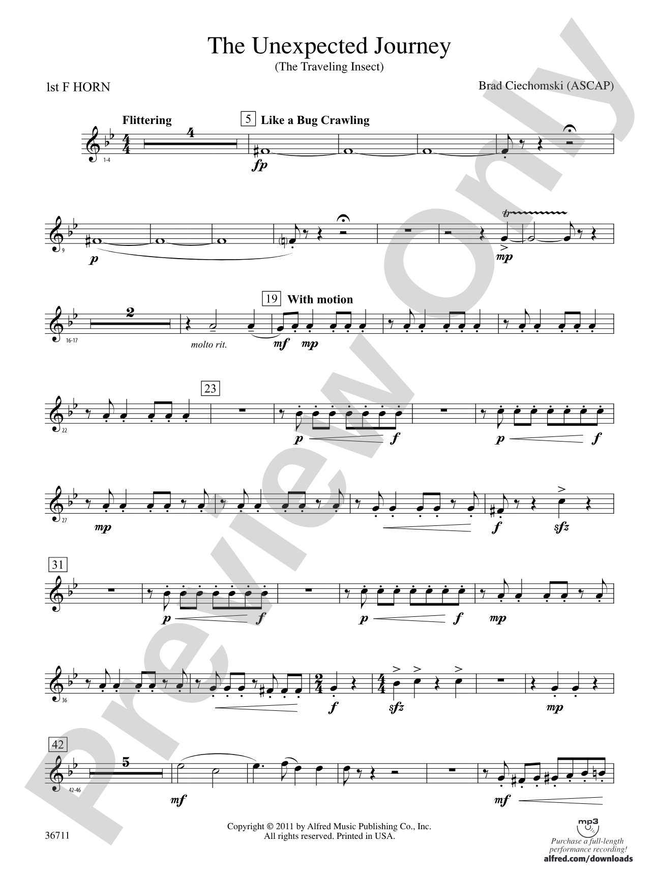 The Unexpected Journey: 1st F Horn