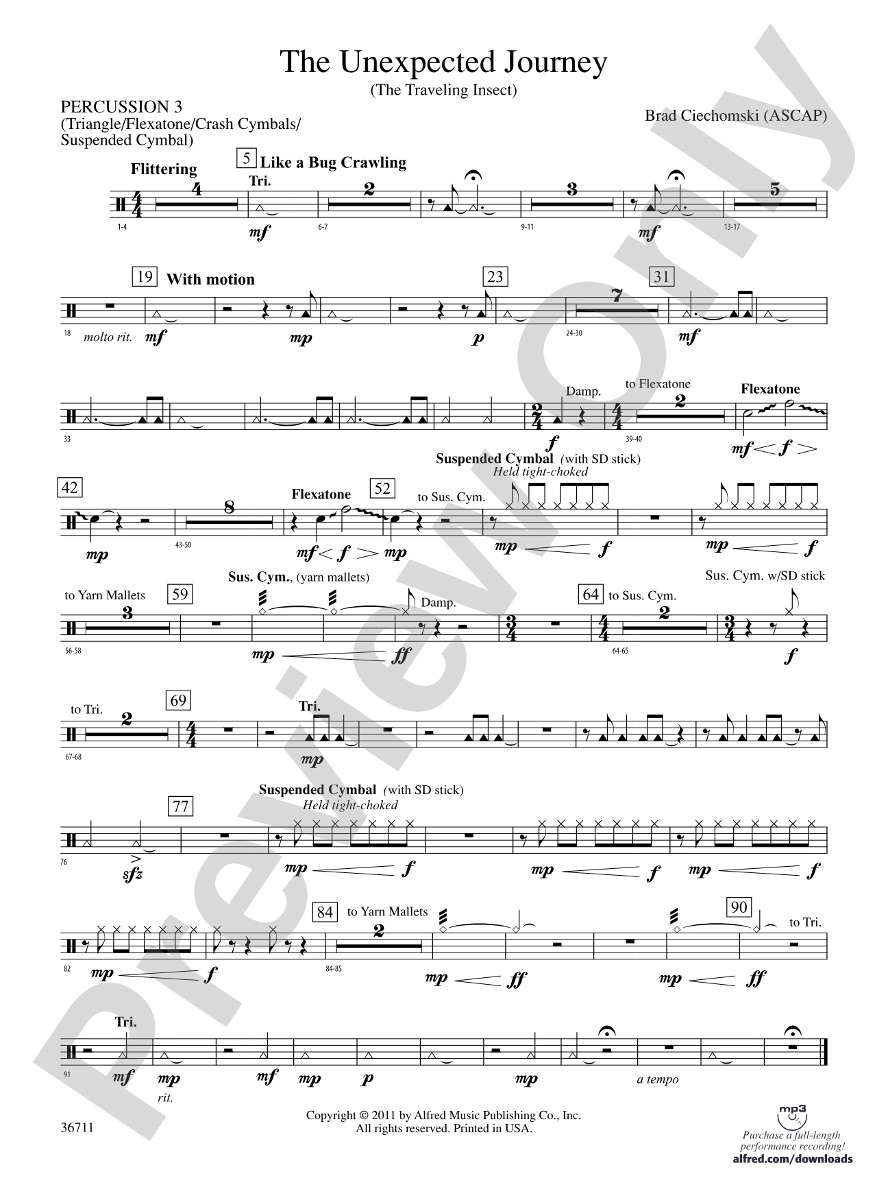 The Unexpected Journey: 3rd Percussion