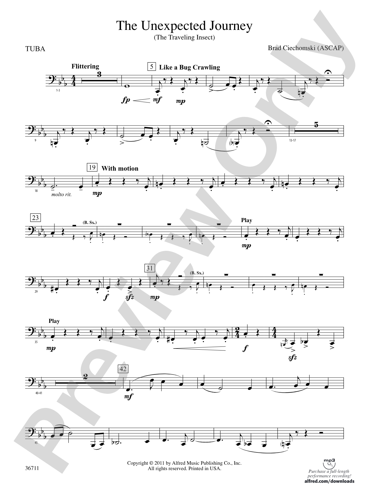 The Unexpected Journey: Tuba