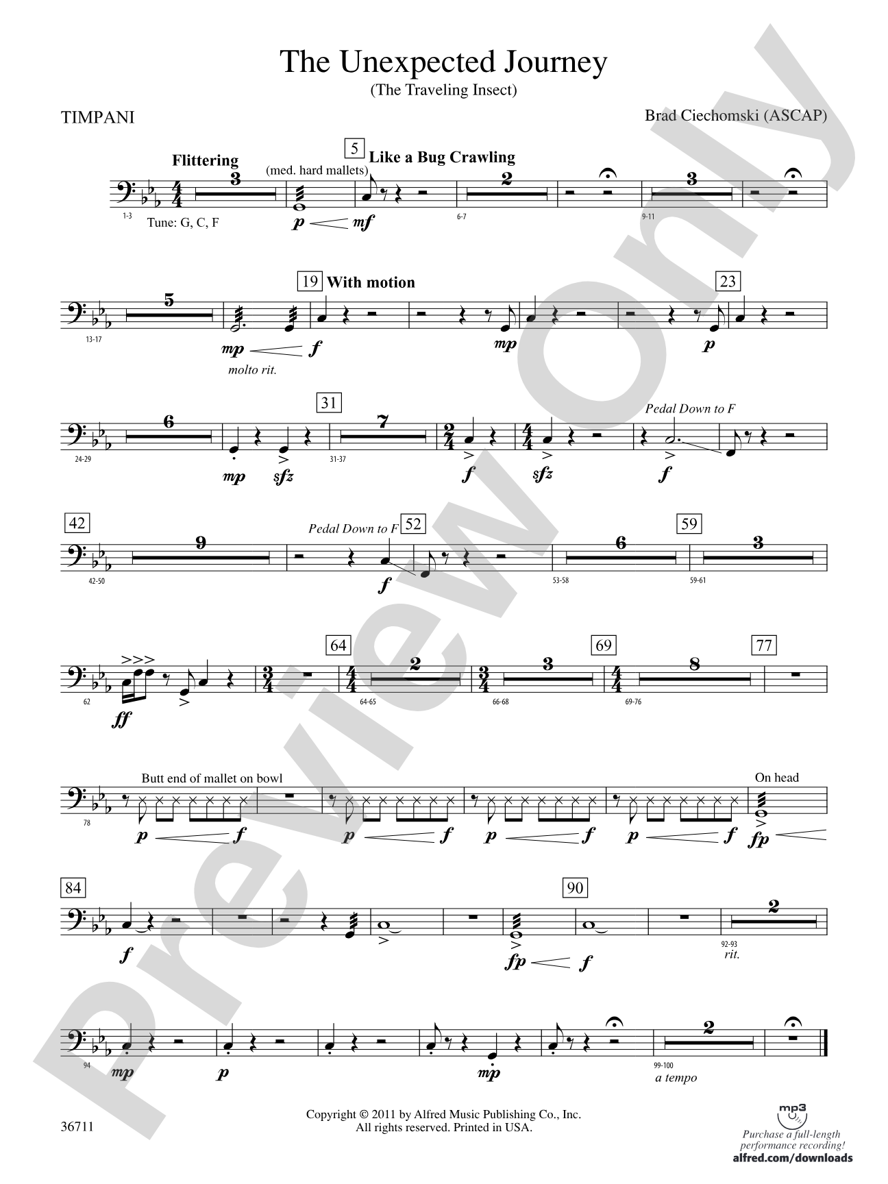 The Unexpected Journey: Timpani