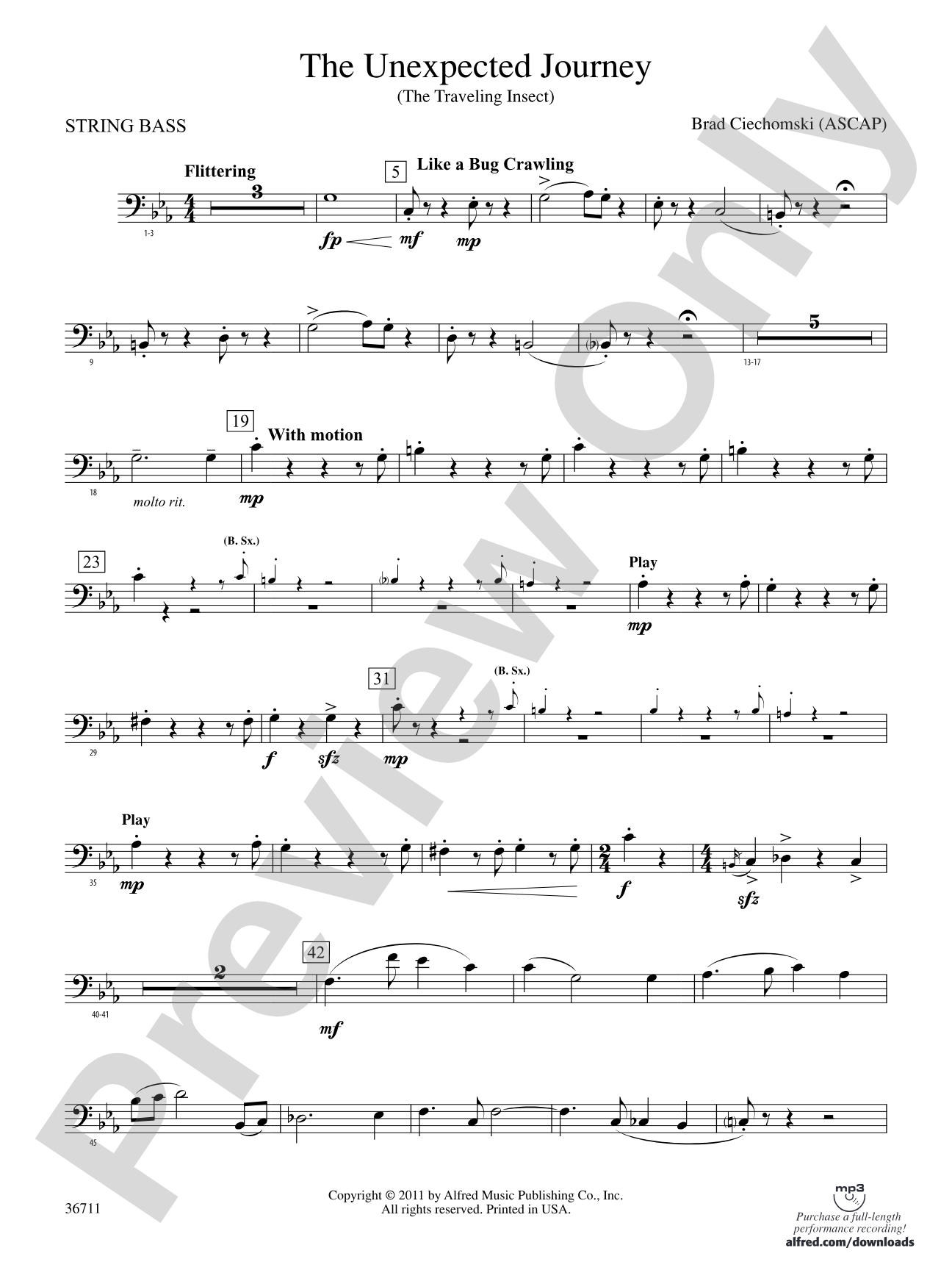 The Unexpected Journey: (wp) String Bass