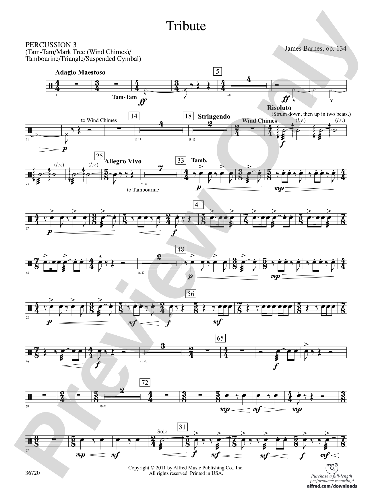 Tribute: 3rd Percussion