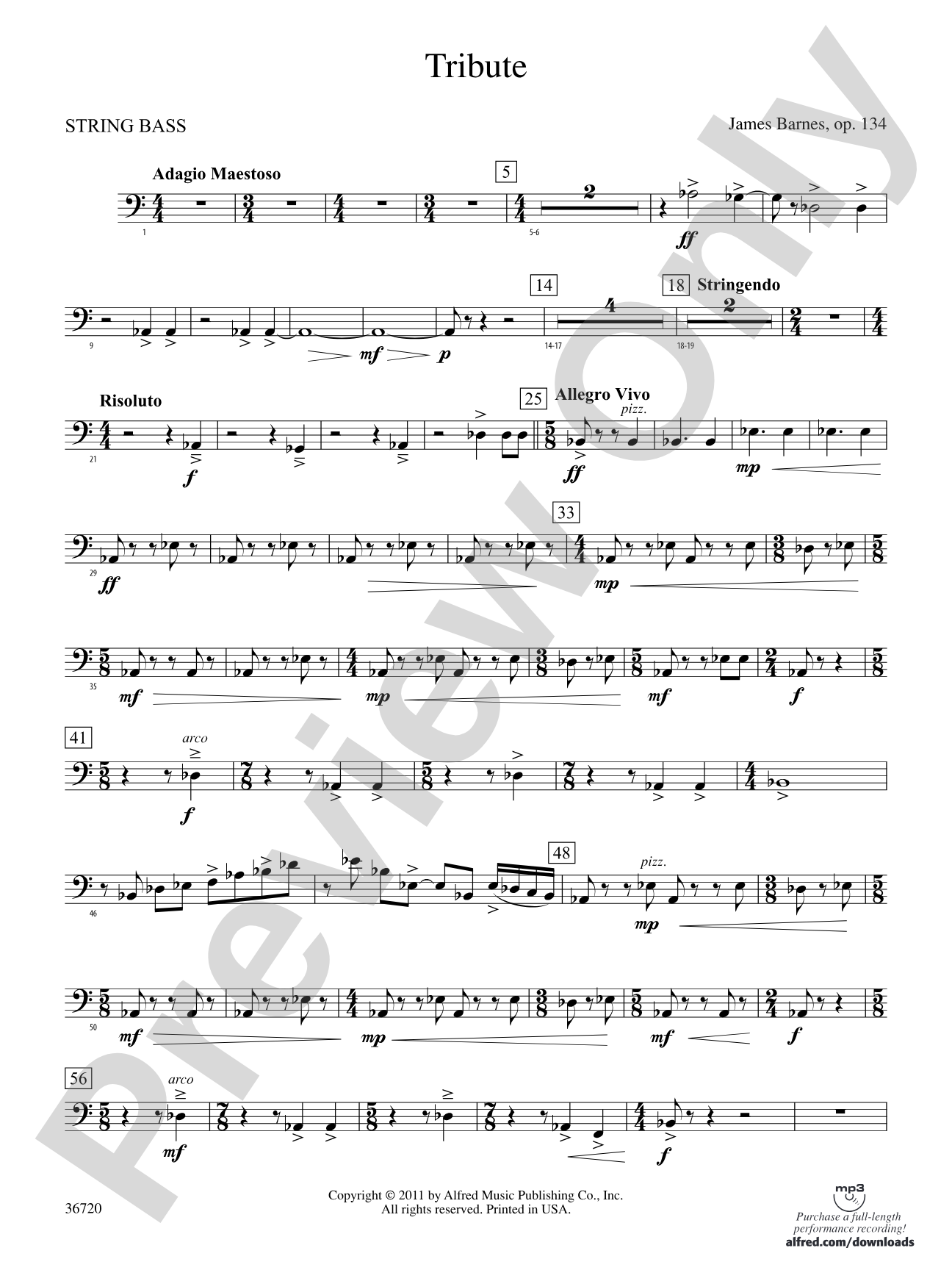 Tribute: String Bass