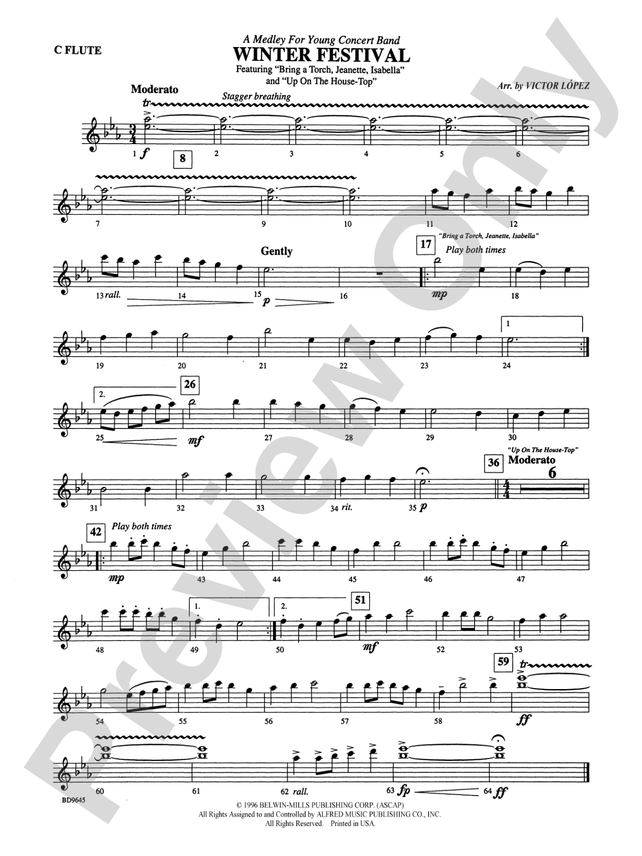 Winter Festival: Flute