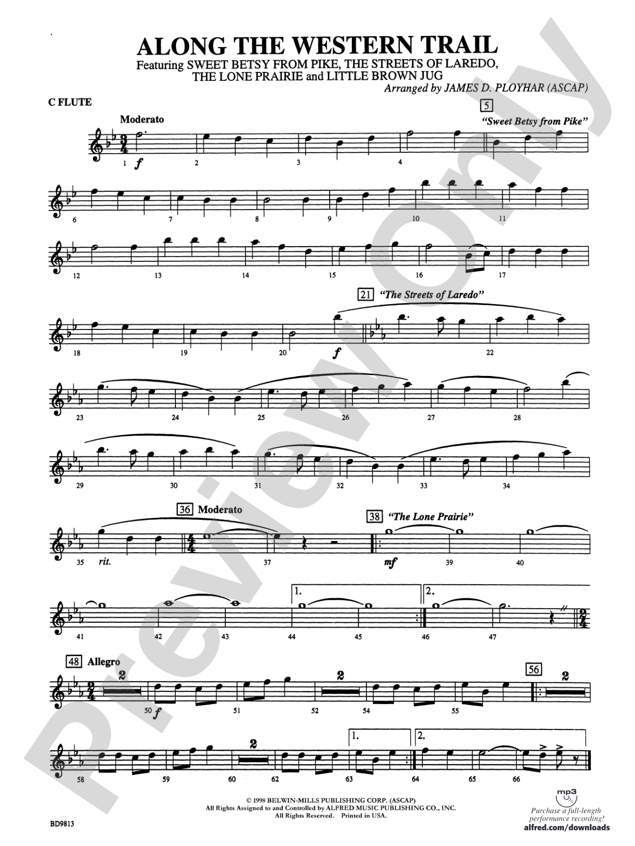 Along the Western Trail: Flute