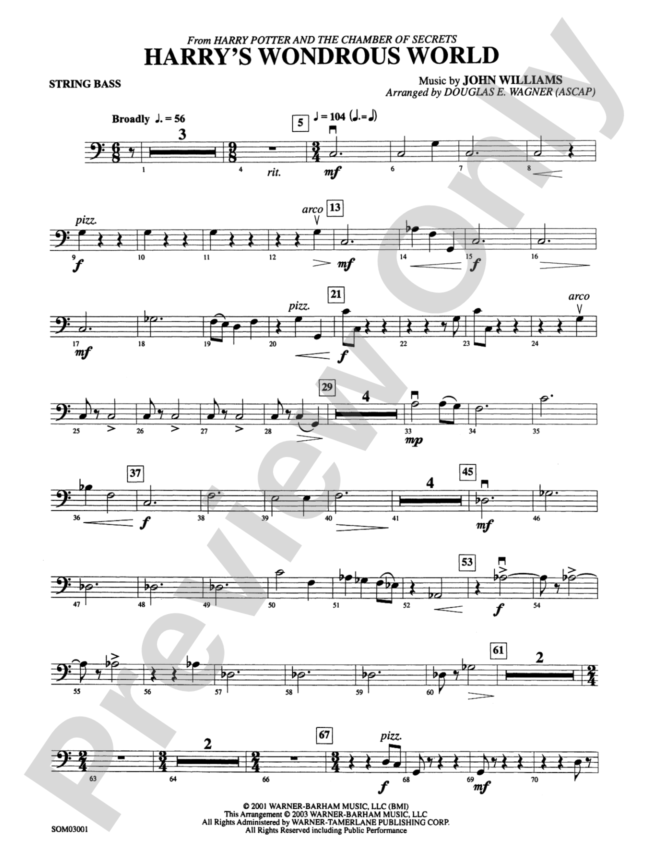 Harry's Wondrous World (from Harry Potter and the Chamber of Secrets): String Bass
