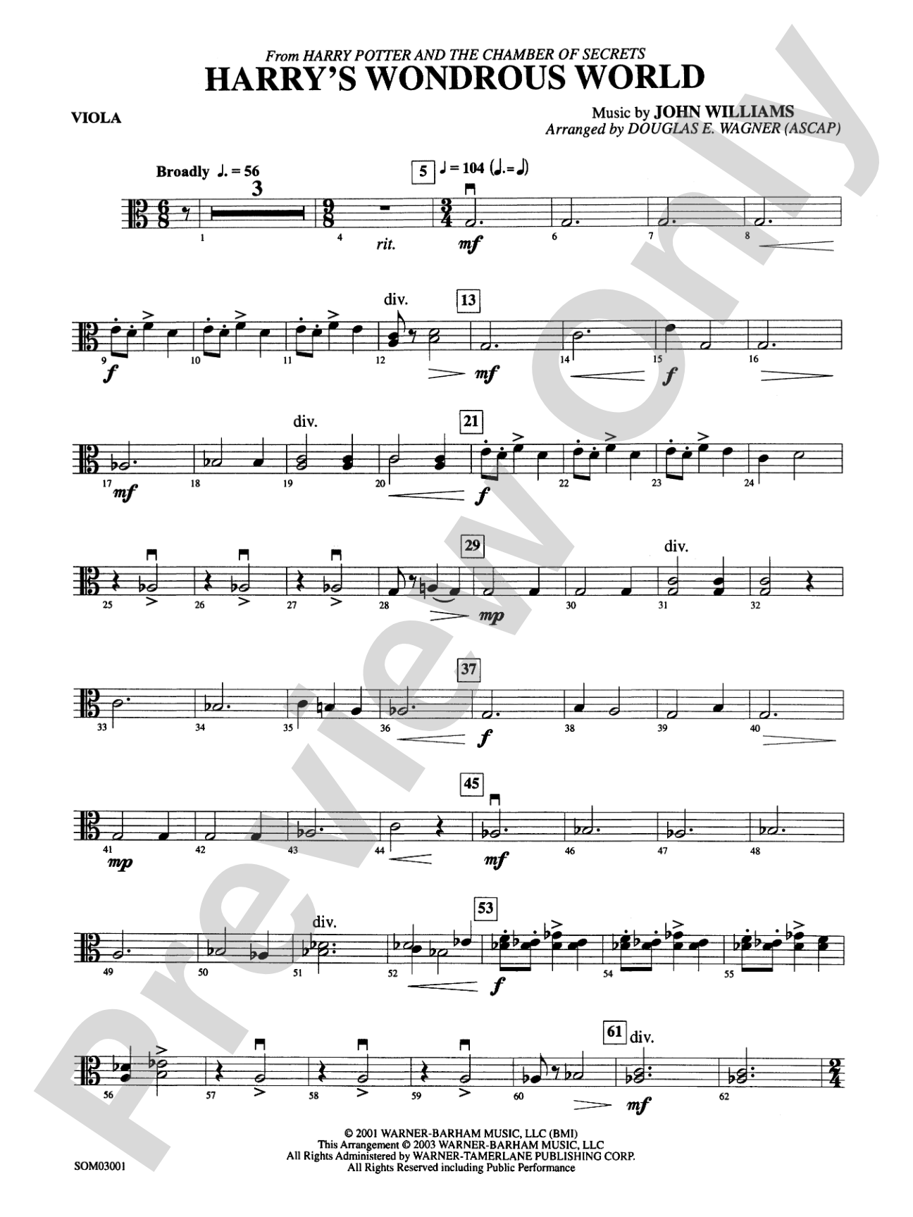 Harry's Wondrous World (from Harry Potter and the Chamber of Secrets): Viola