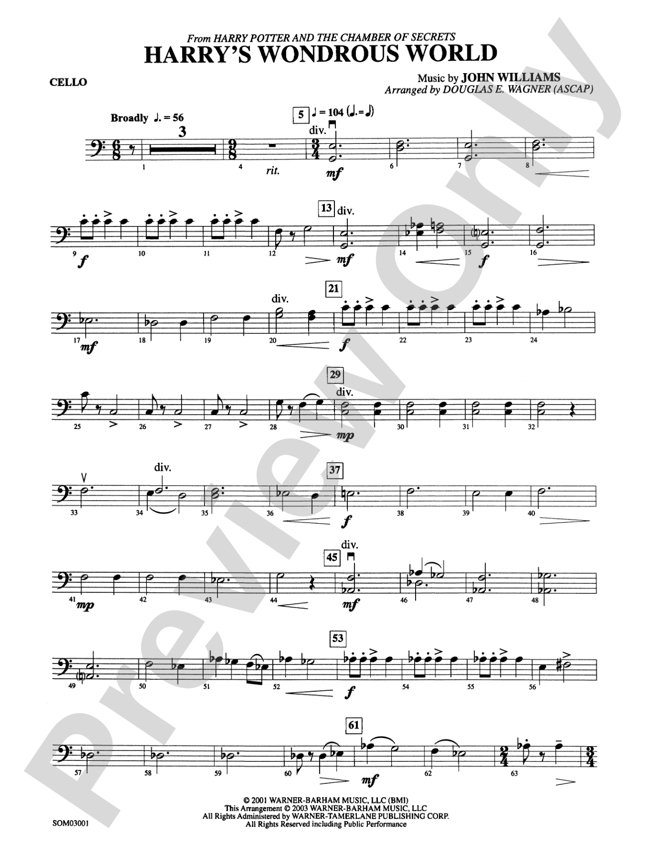 Harry's Wondrous World (from Harry Potter and the Chamber of Secrets): Cello