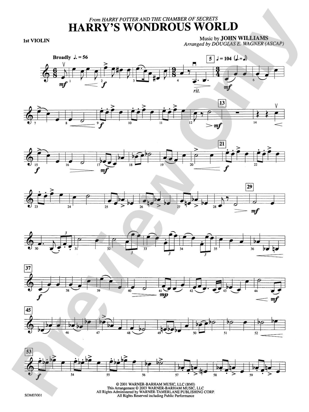 Harry's Wondrous World (from Harry Potter and the Chamber of Secrets): 1st Violin