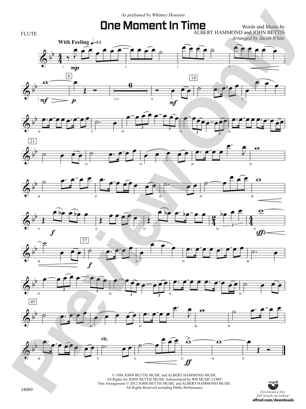 One Moment in Time: Flute