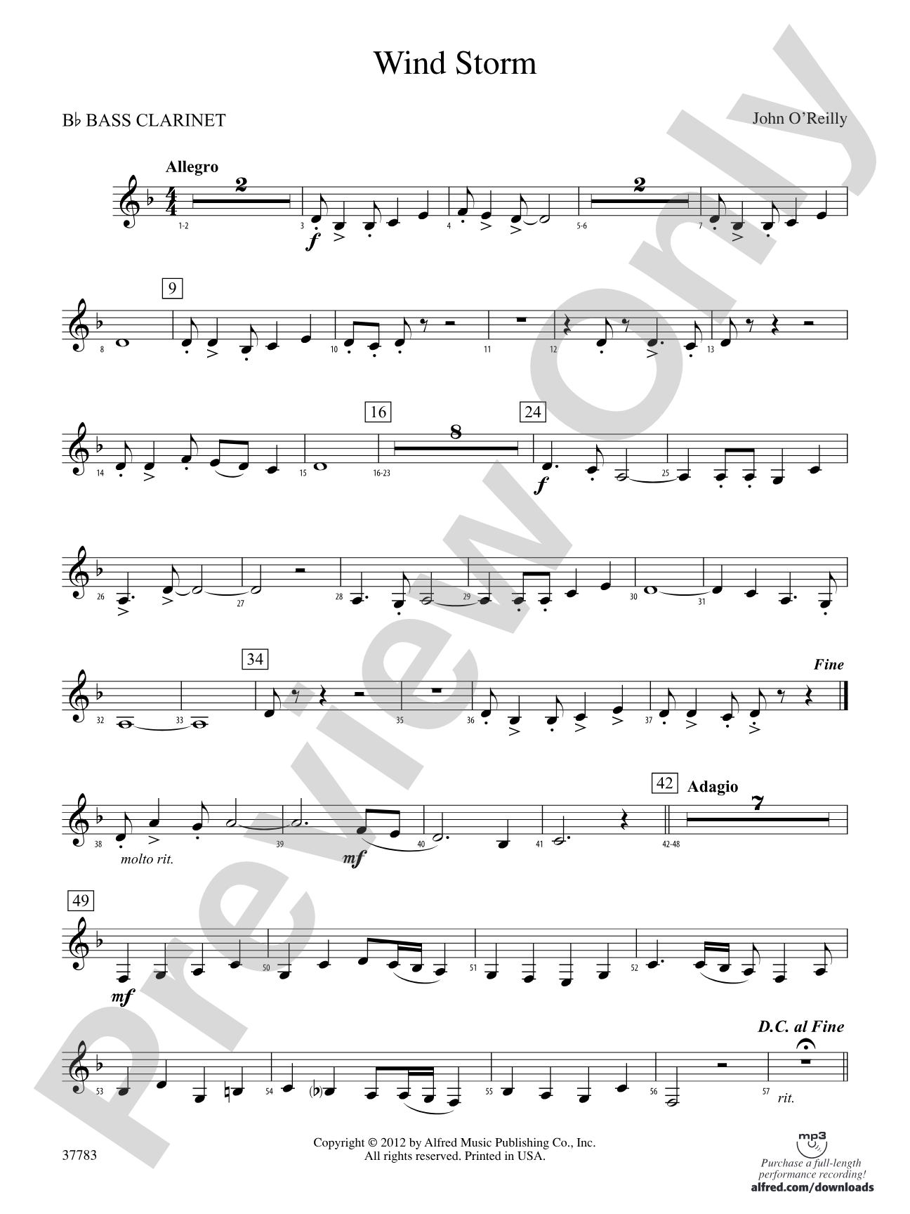 Wind Storm: B-flat Bass Clarinet