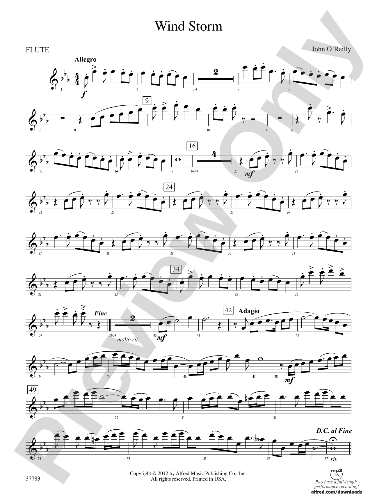 Wind Storm: Flute