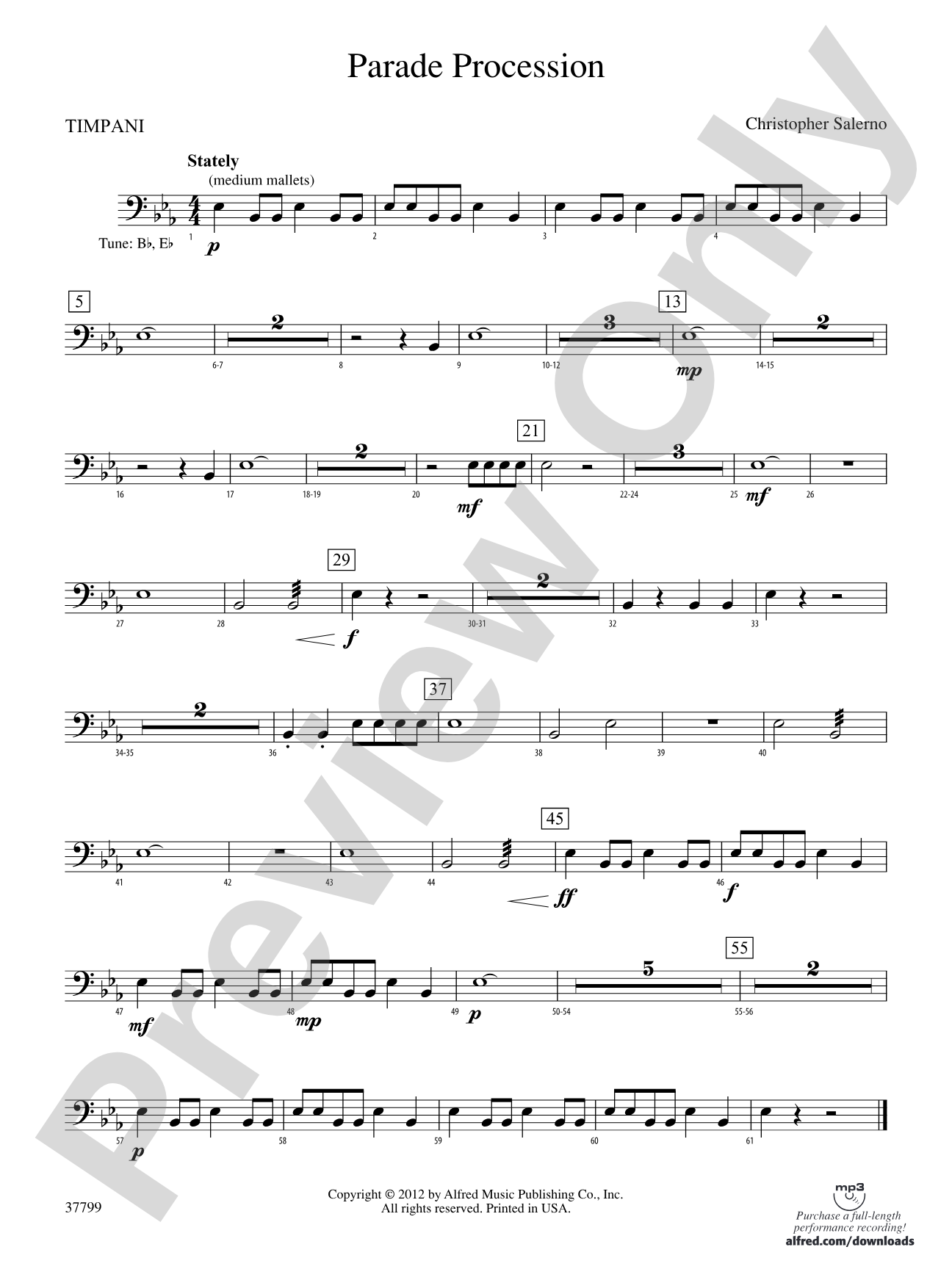 Parade Procession: Timpani
