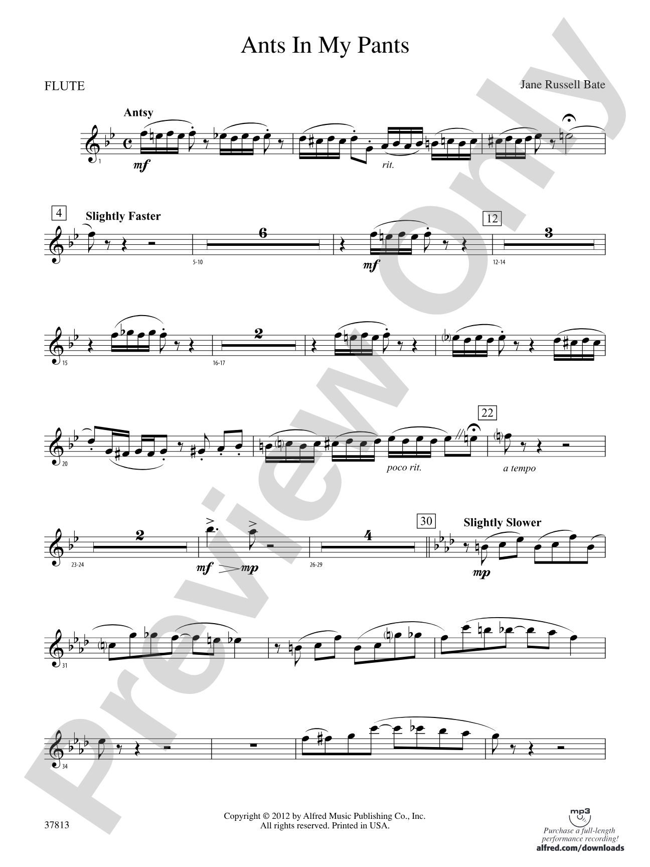 Ants in My Pants: Flute