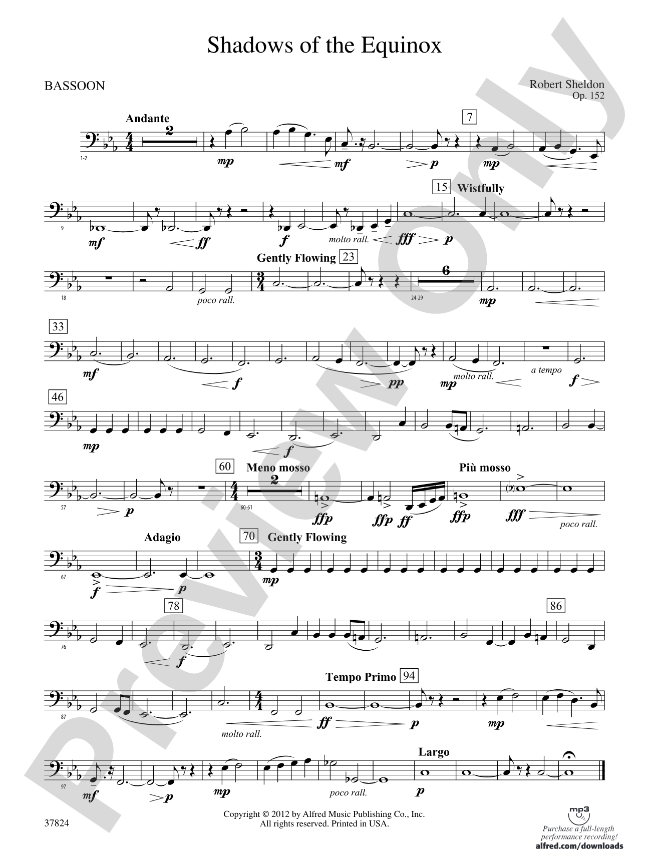 Shadows of the Equinox: Bassoon