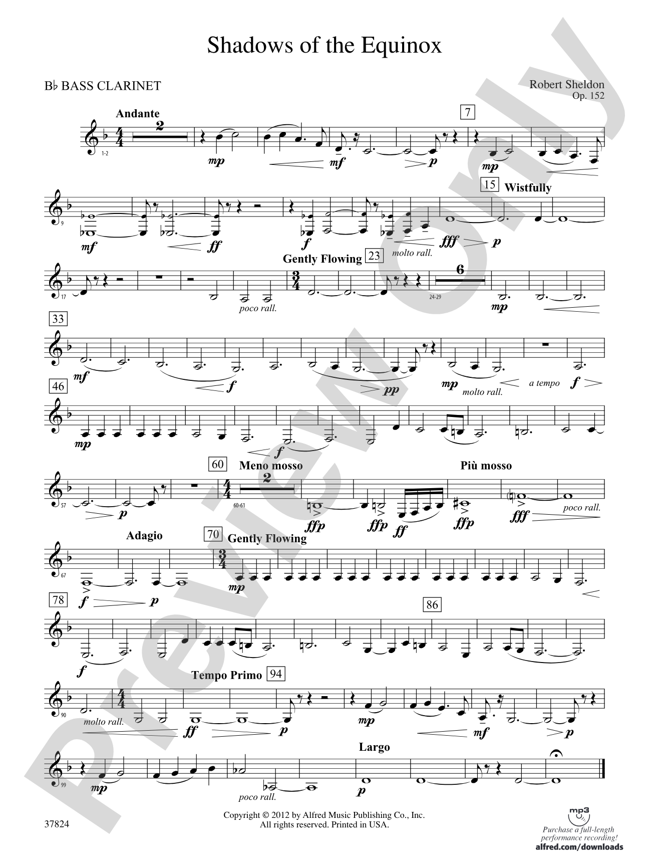 Shadows of the Equinox: B-flat Bass Clarinet