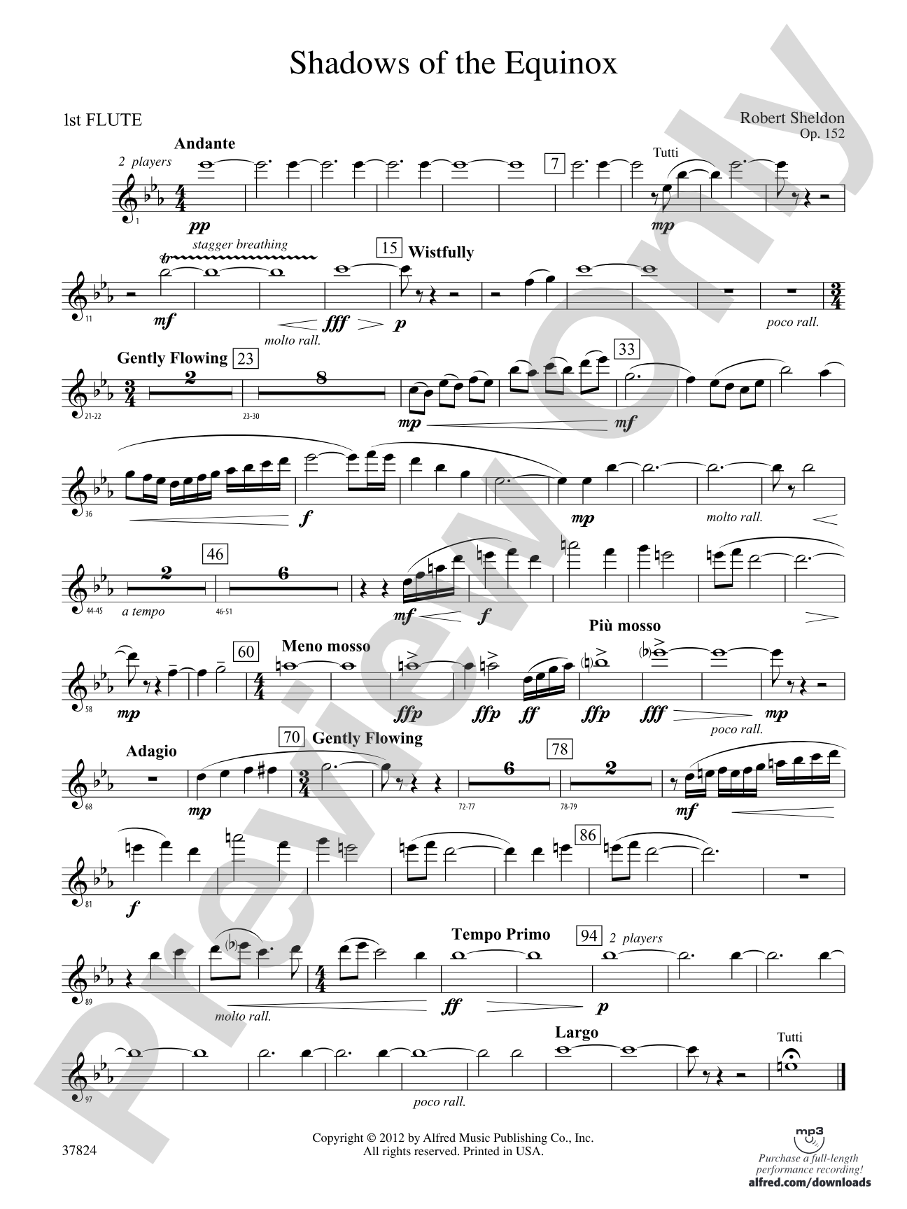 Shadows of the Equinox: Flute