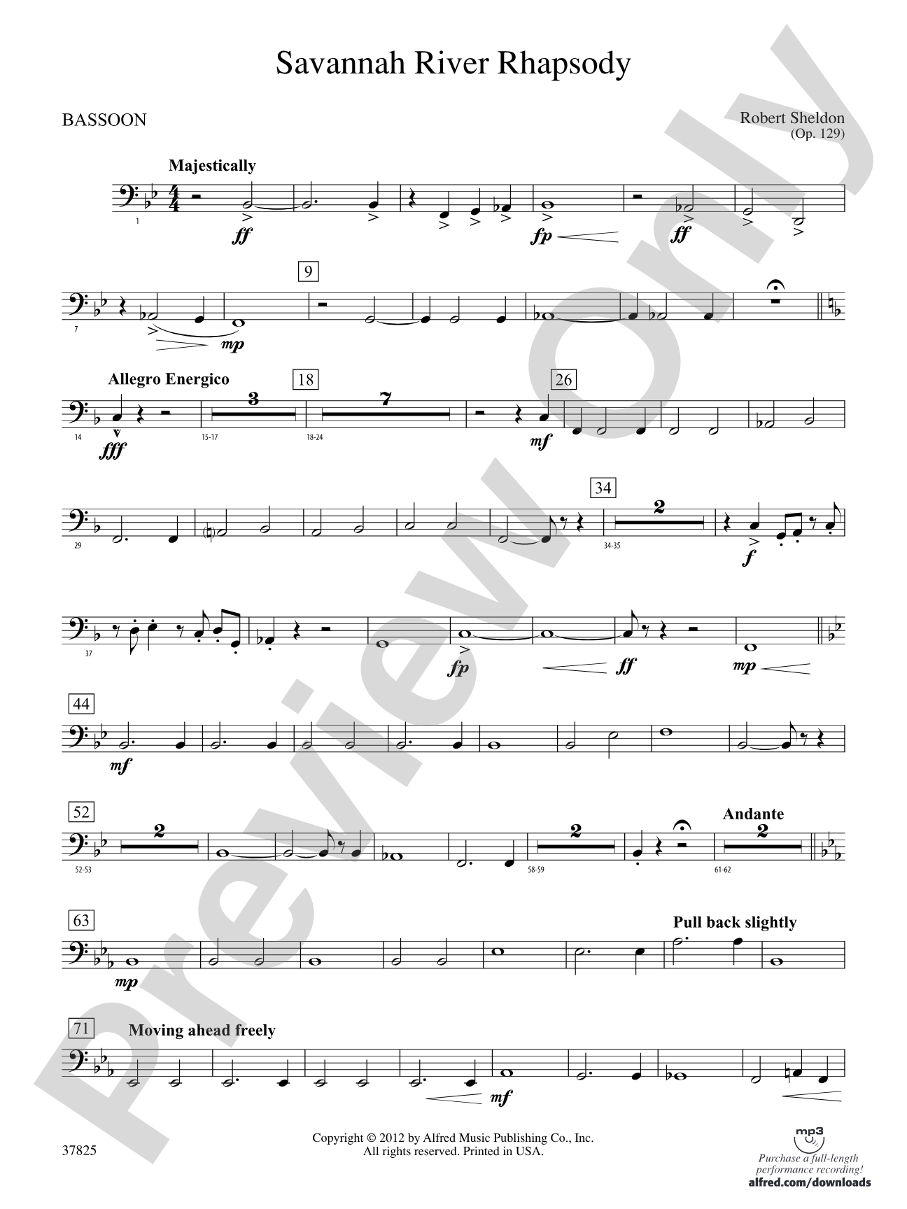 Savannah River Rhapsody: Bassoon