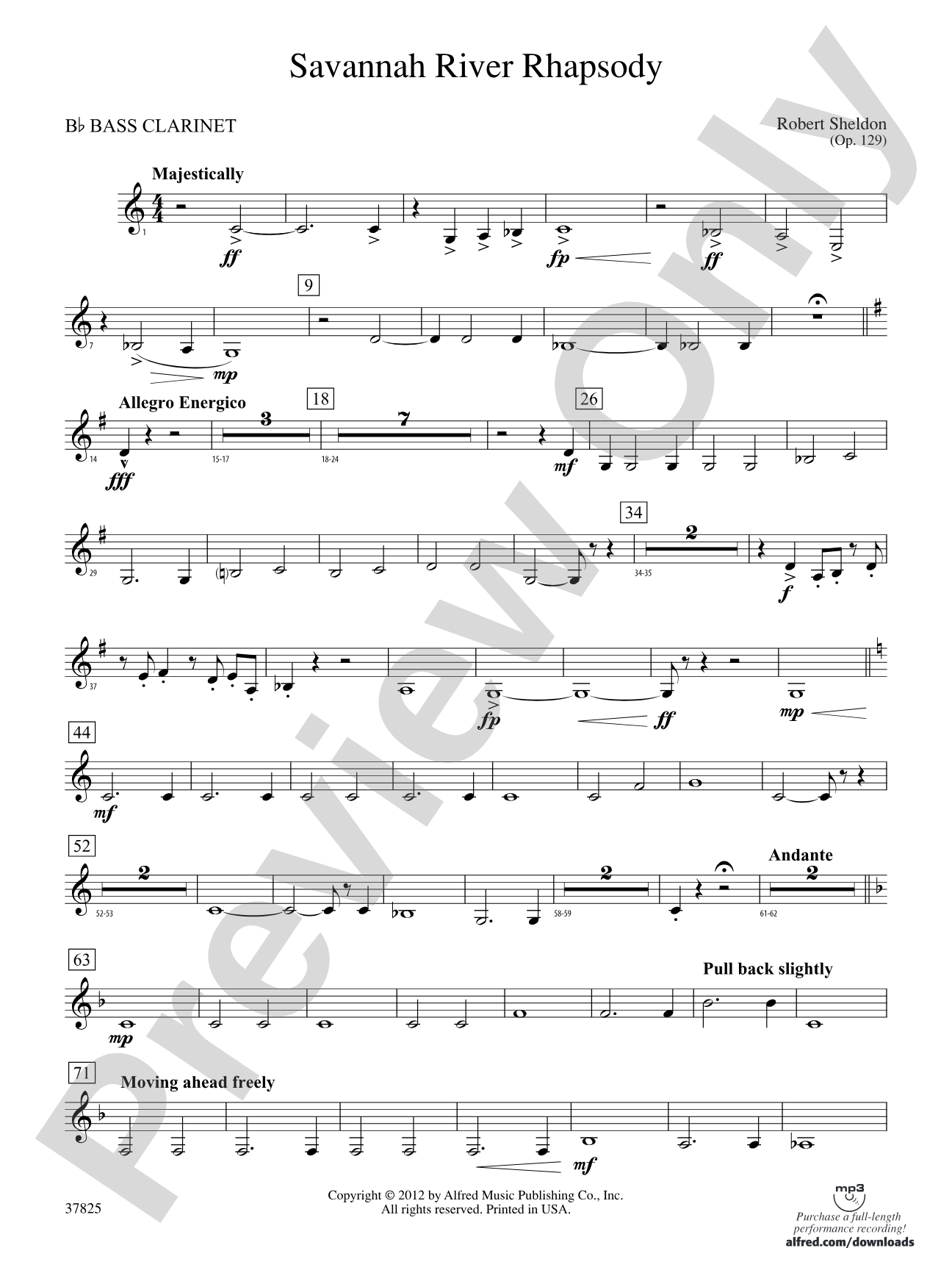 Savannah River Rhapsody: B-flat Bass Clarinet