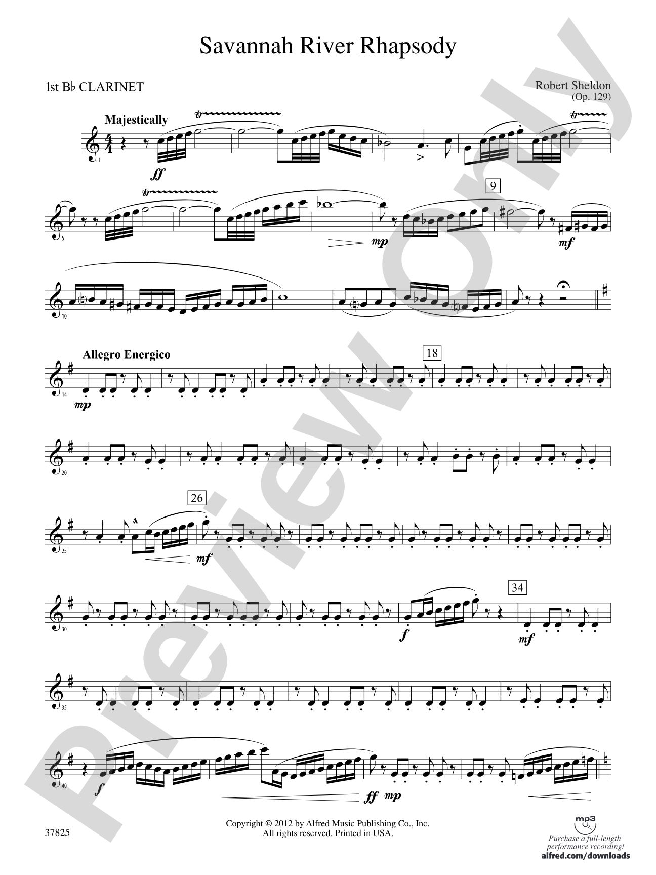 Savannah River Rhapsody: 1st B-flat Clarinet