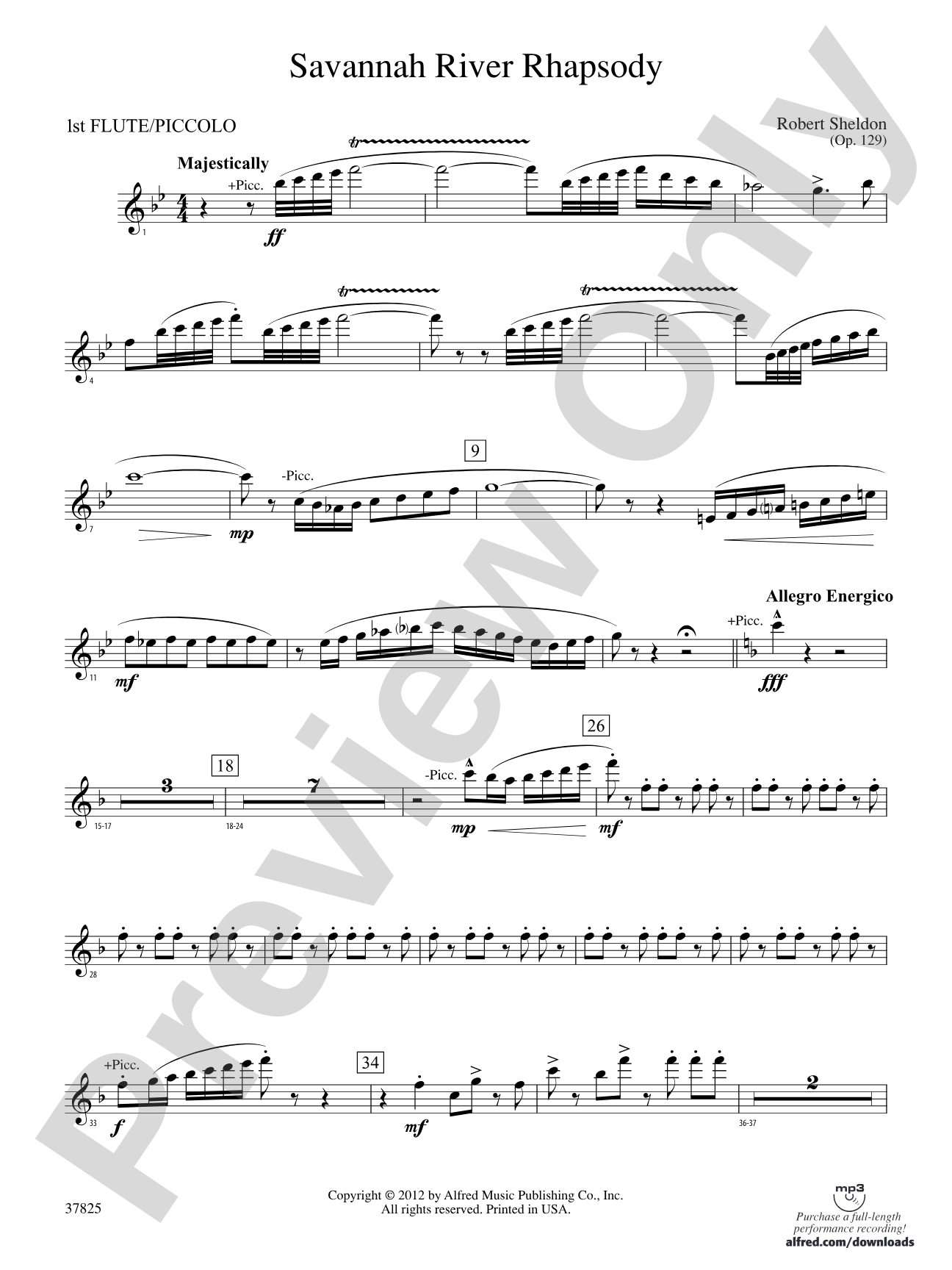 Savannah River Rhapsody: Flute