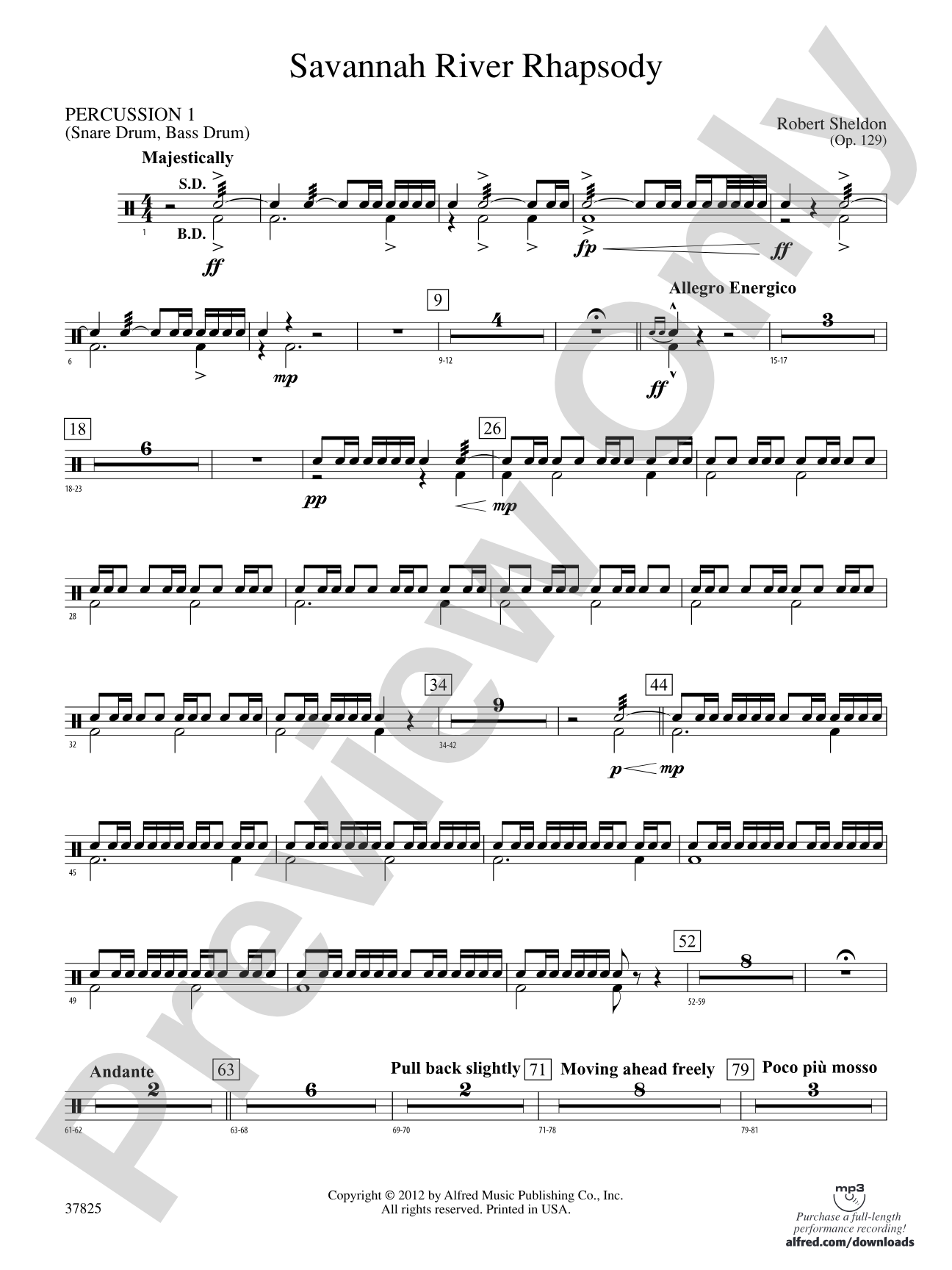 Savannah River Rhapsody: 1st Percussion