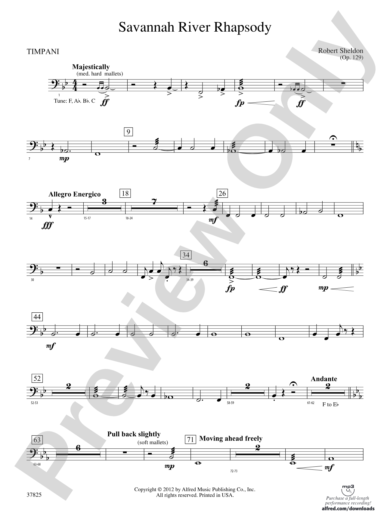 Savannah River Rhapsody: Timpani