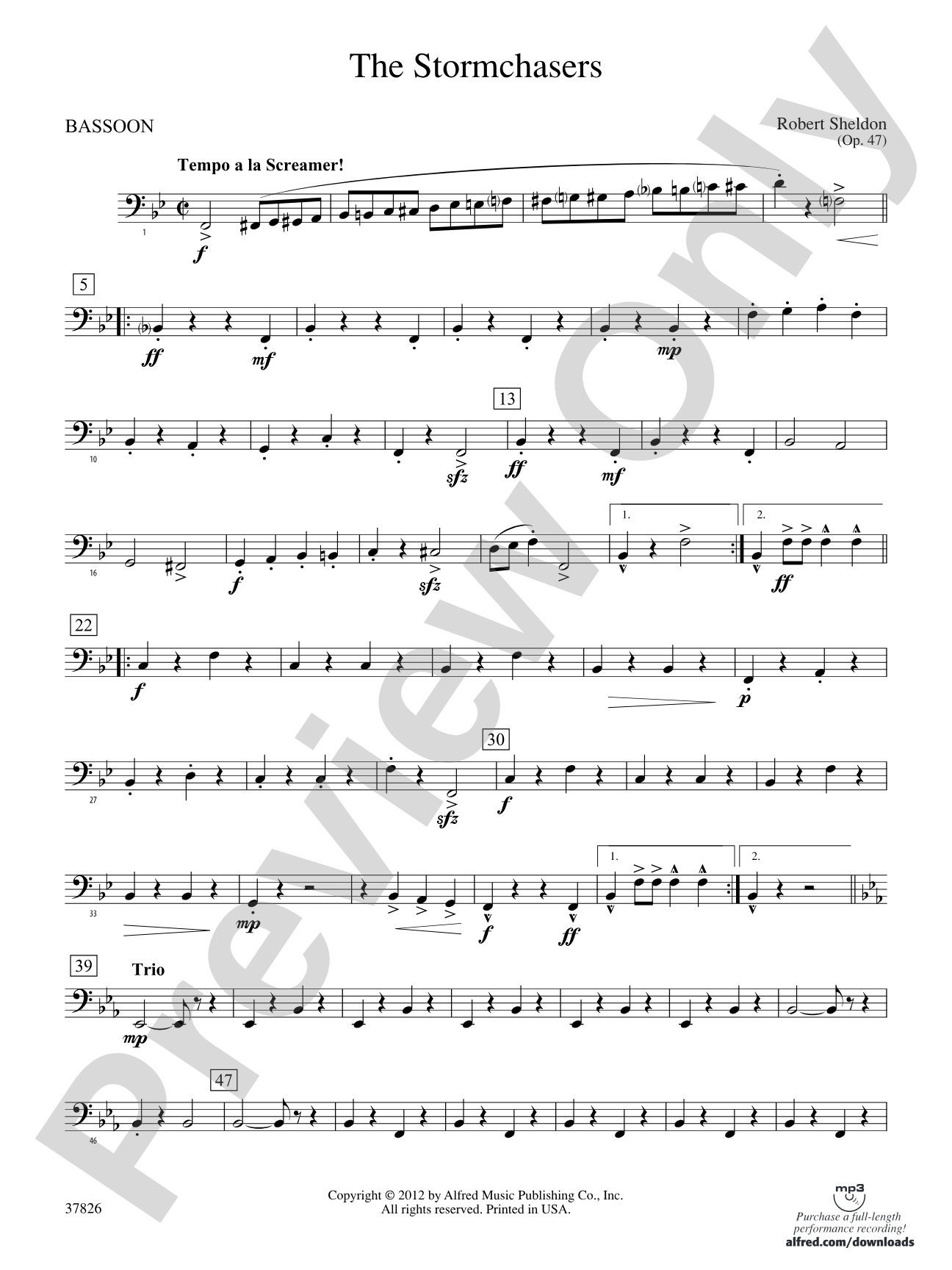 The Stormchasers: Bassoon