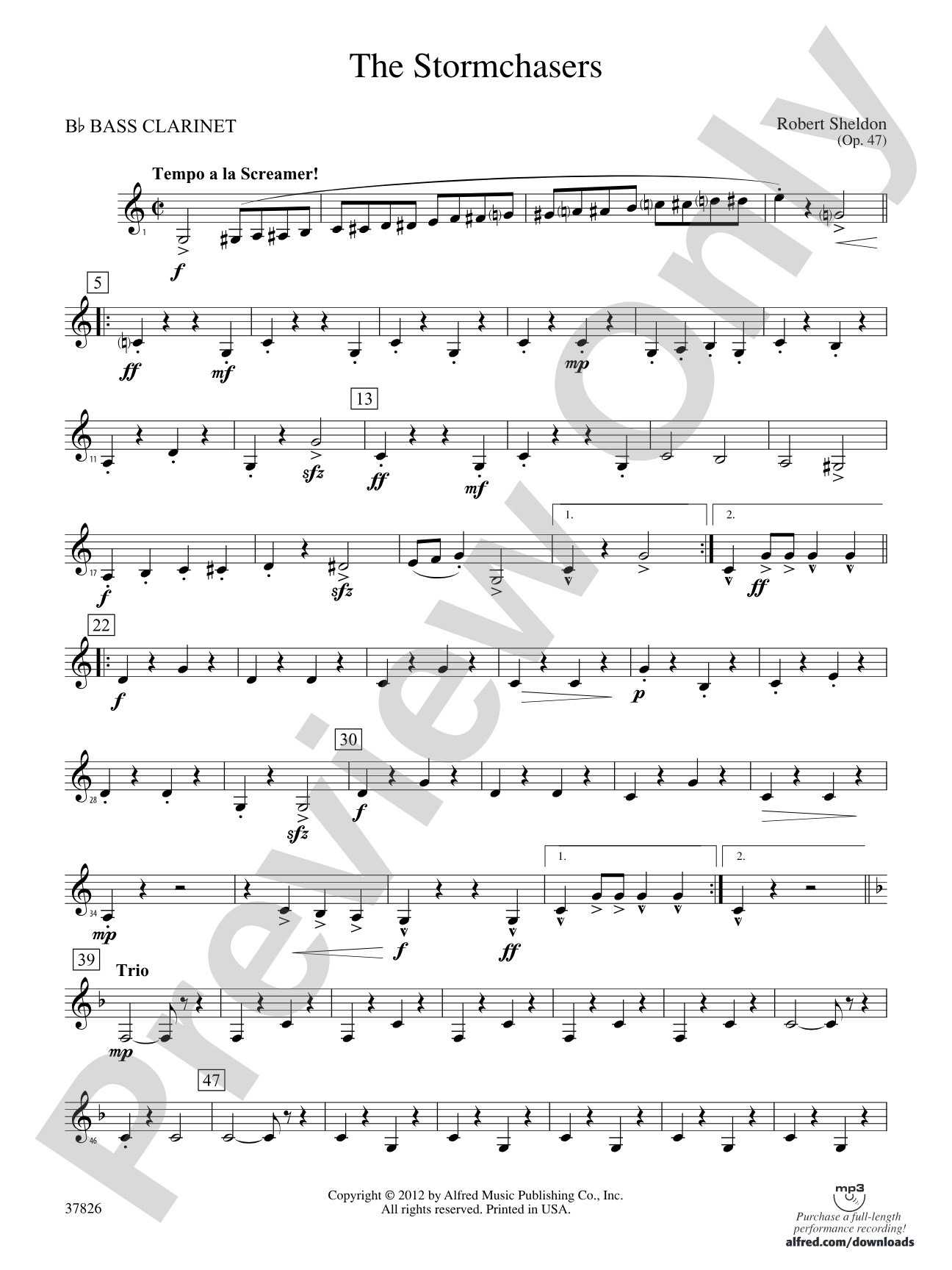 The Stormchasers: B-flat Bass Clarinet