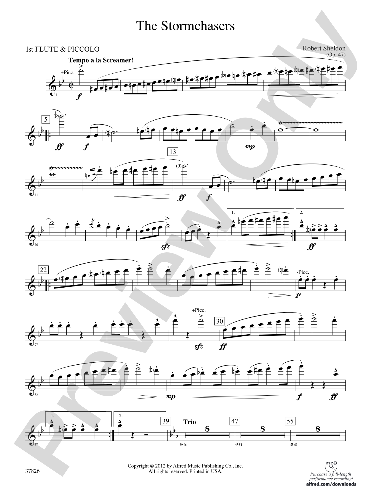 The Stormchasers: Flute