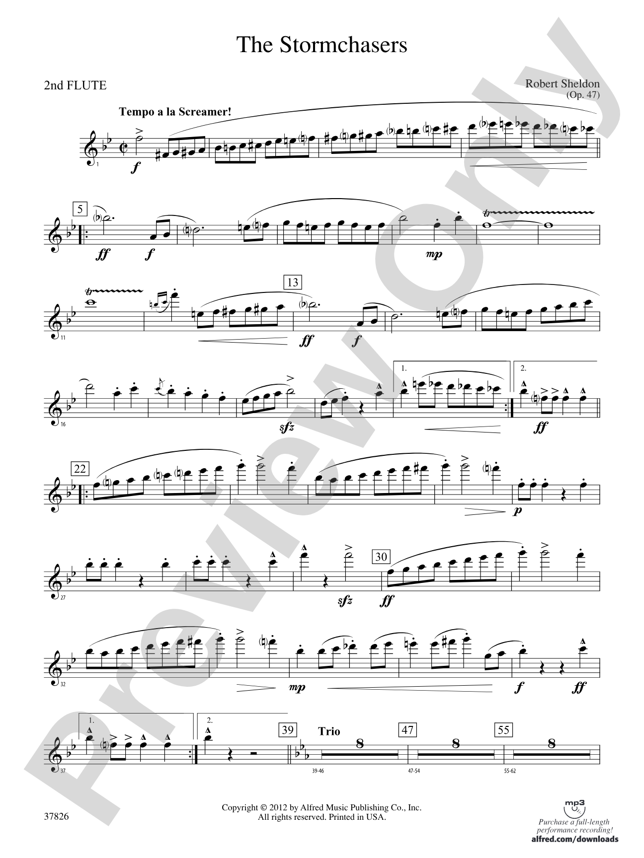 The Stormchasers: 2nd Flute