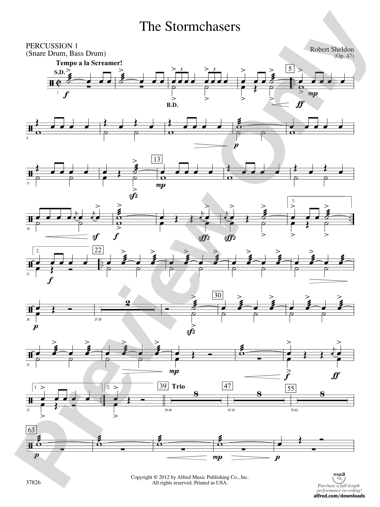 The Stormchasers: 1st Percussion