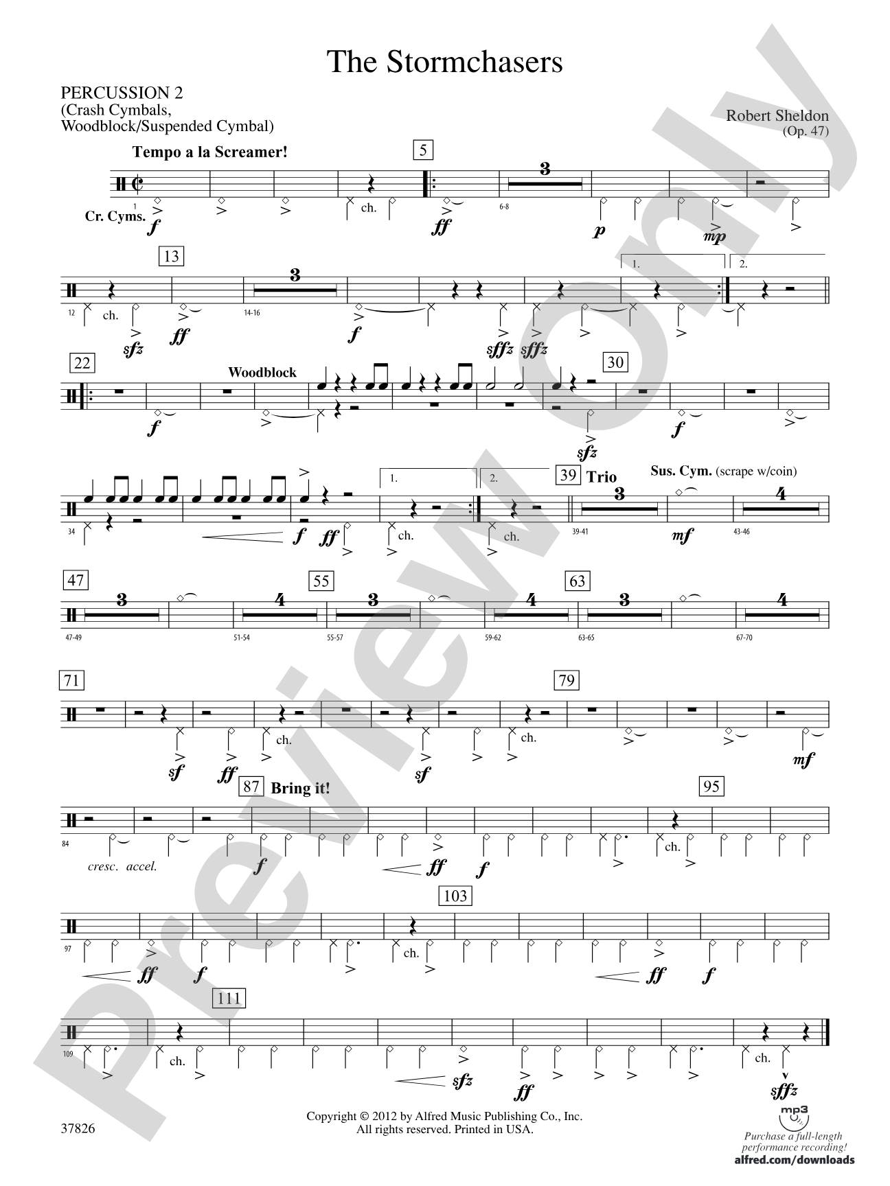 The Stormchasers: 2nd Percussion